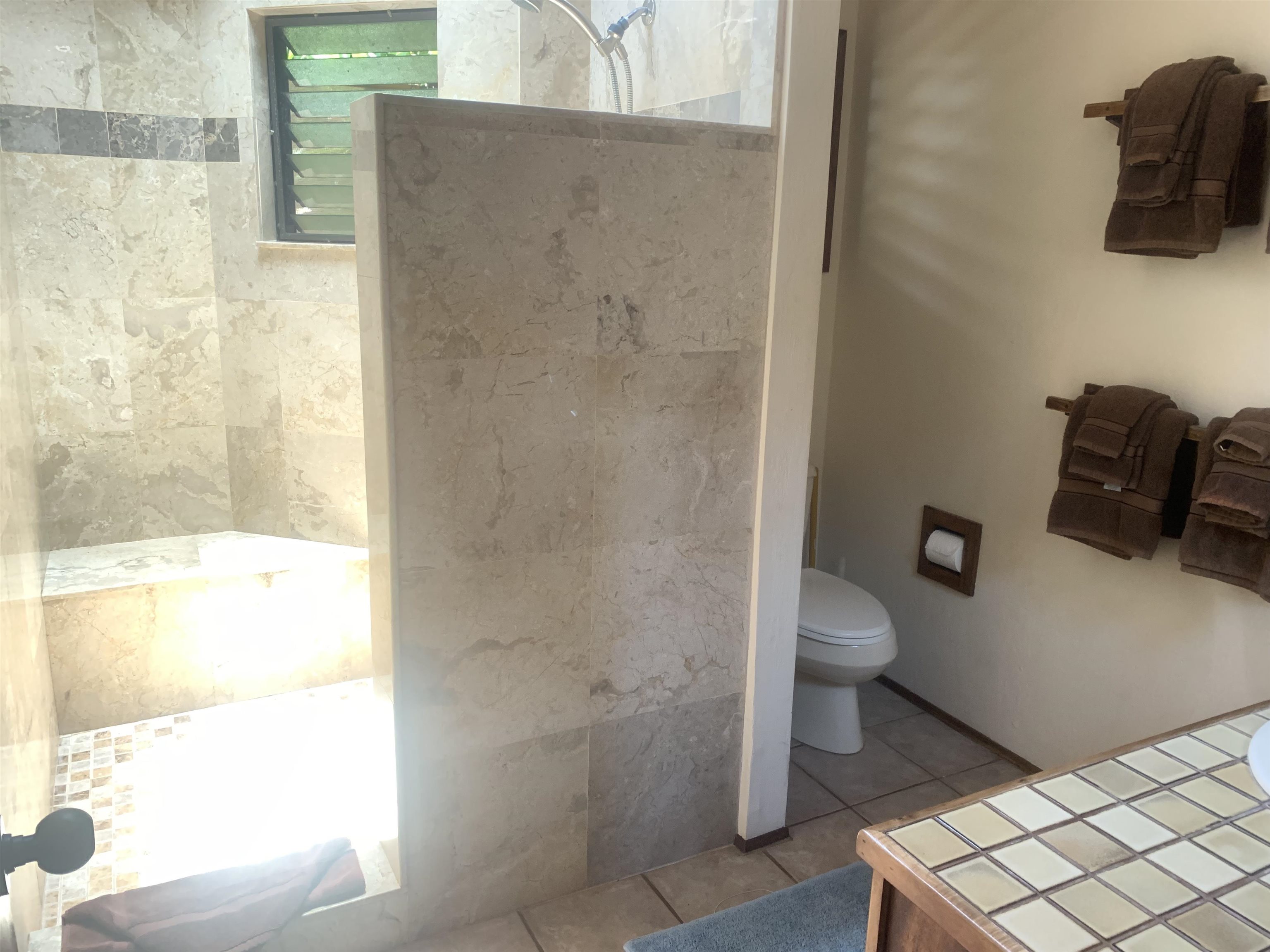 10464  Kamehameha V Hwy Waialua, Molokai home - photo 8 of 10