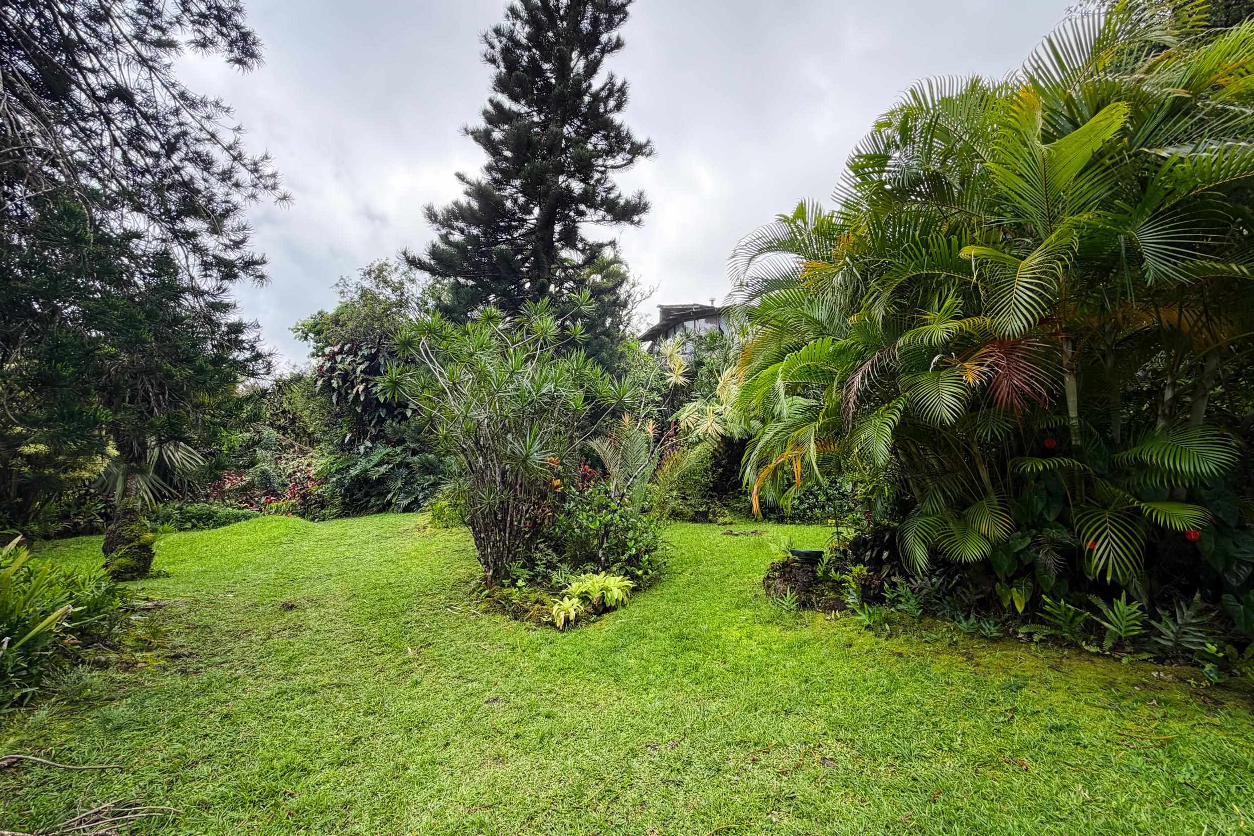 105  Hana Hwy , Hana home - photo 19 of 40