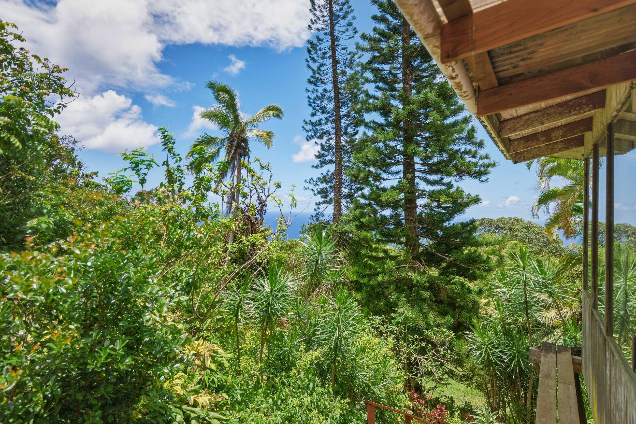 105  Hana Hwy , Hana home - photo 3 of 40