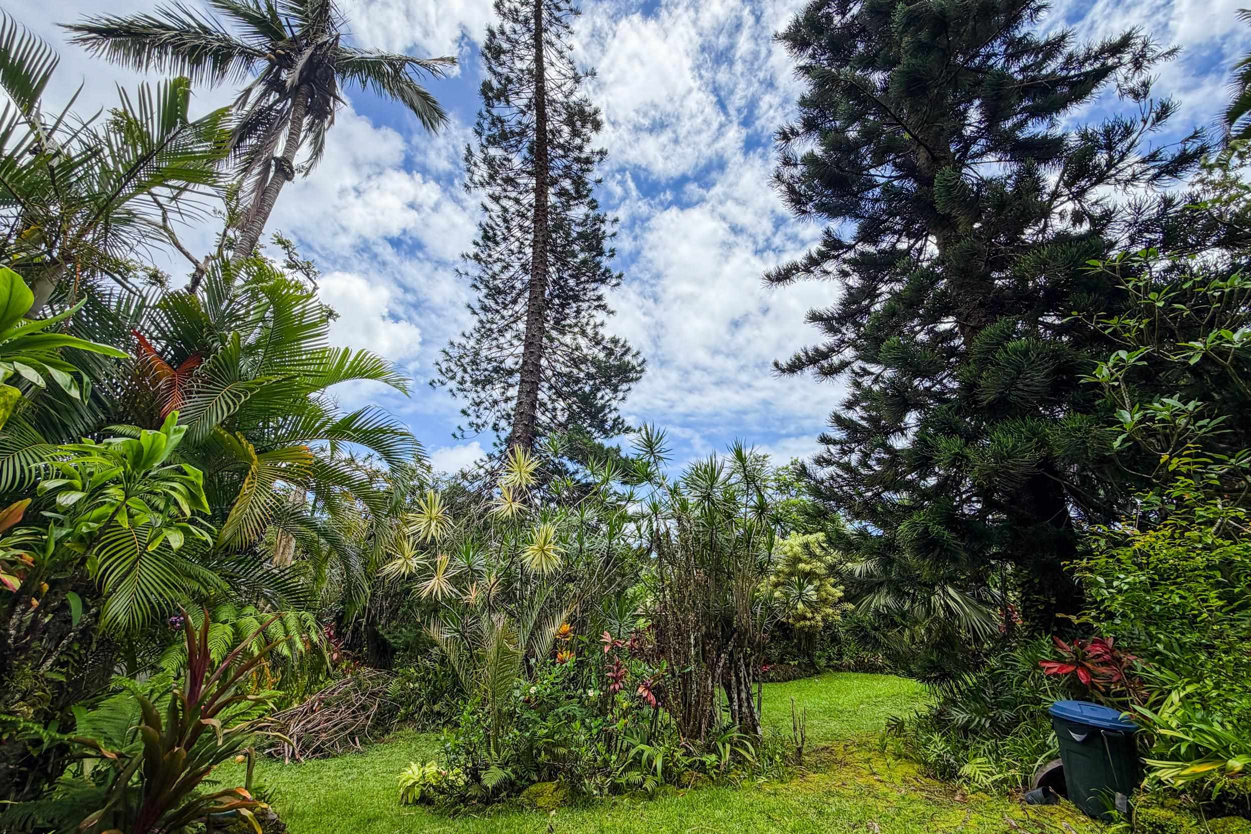 105  Hana Hwy , Hana home - photo 22 of 40