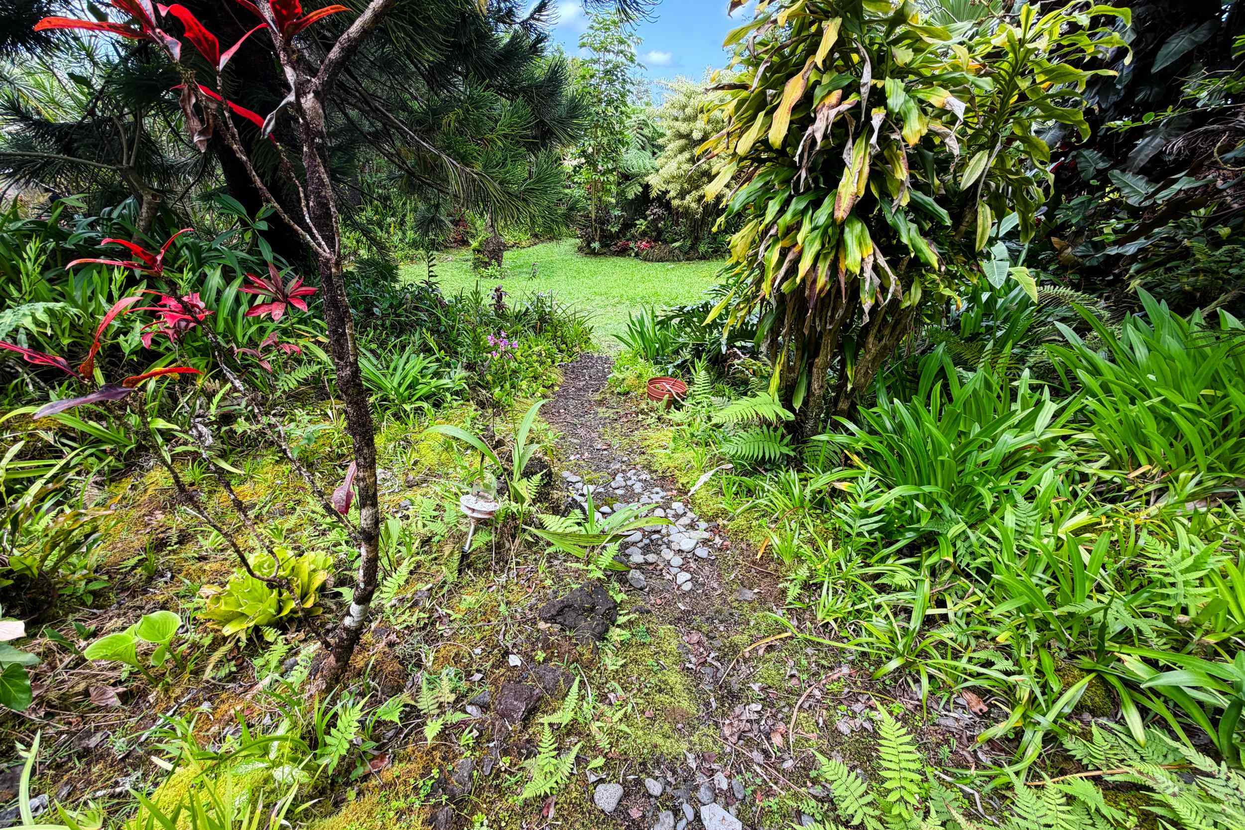 105  Hana Hwy , Hana home - photo 23 of 40