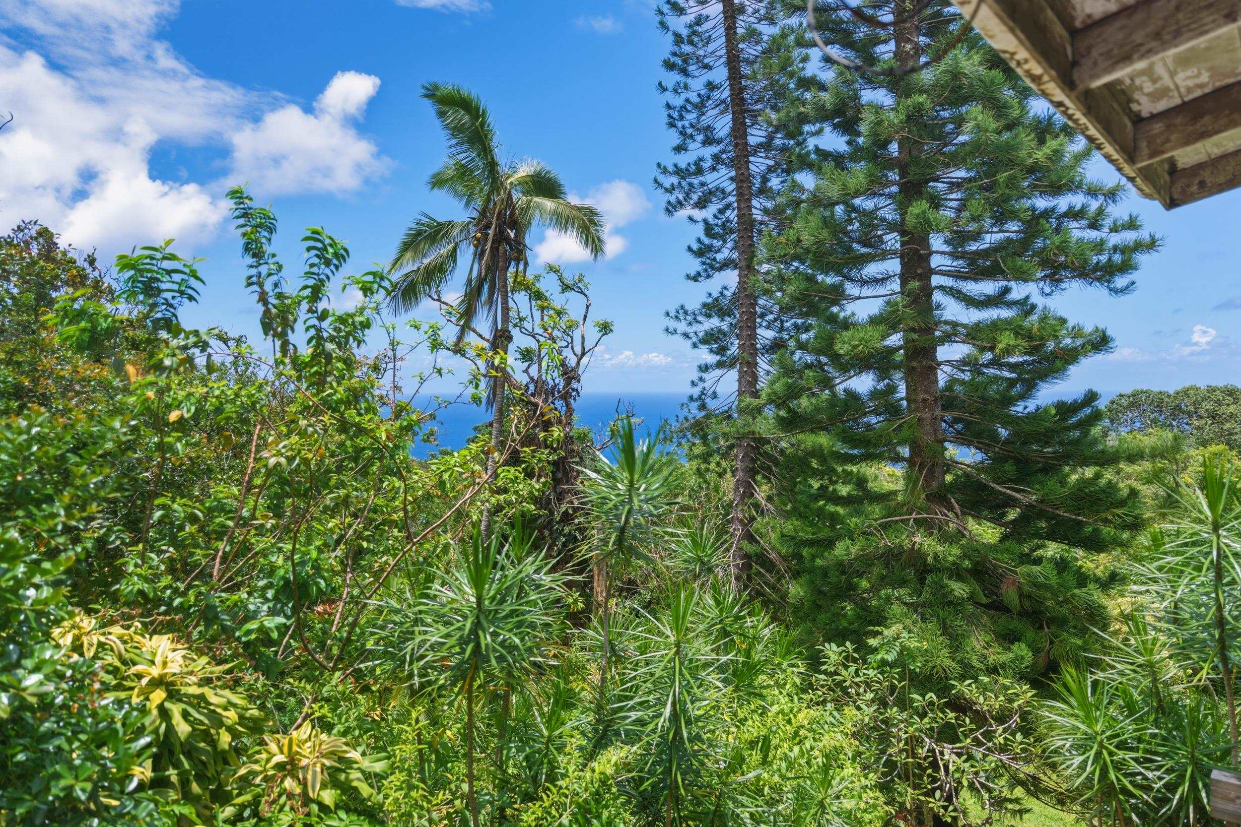 105  Hana Hwy , Hana home - photo 4 of 40