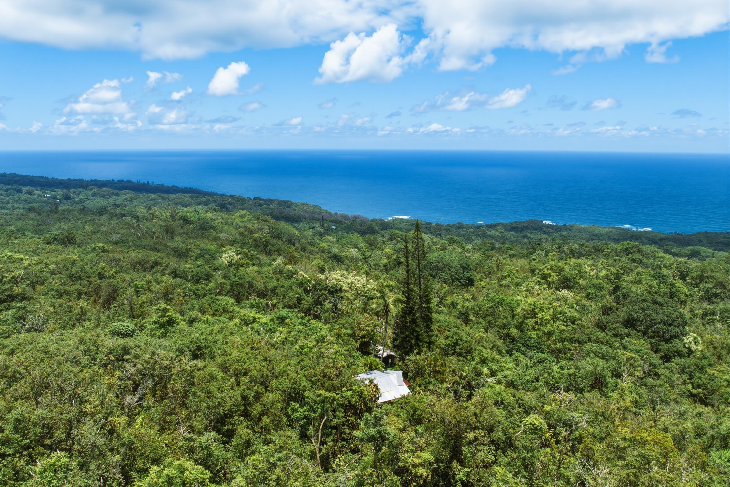 105  Hana Hwy , Hana home - photo 6 of 40