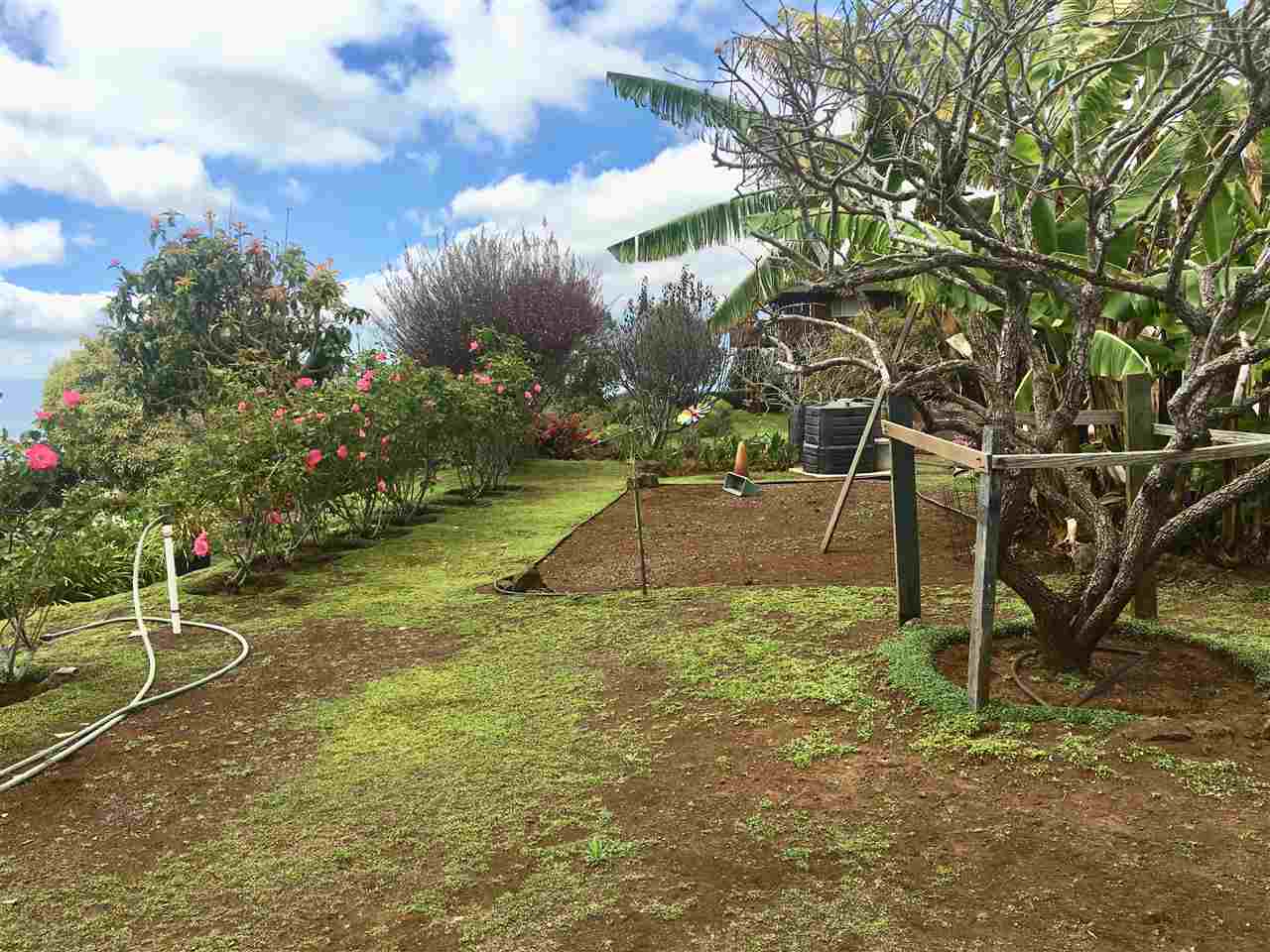 105 Holomakani Dr , Kula, Hi 96790 Kula, Kula Highlands