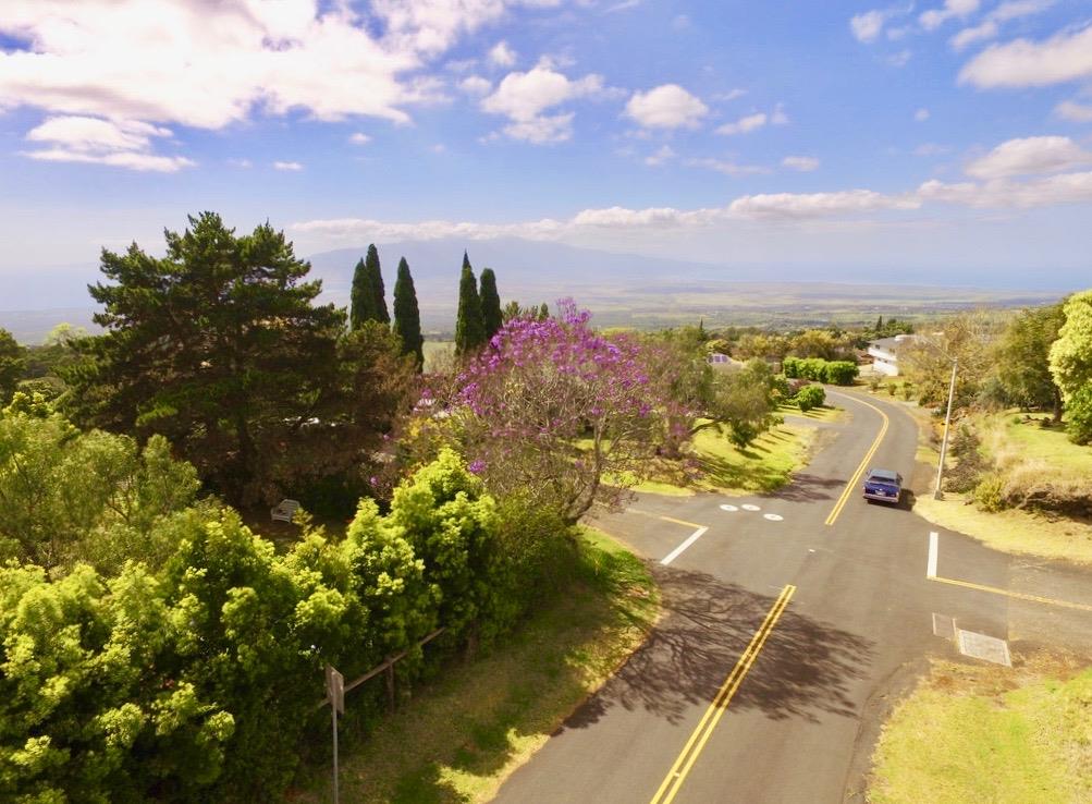 105 Holomakani Dr , Kula, Hi 96790 Kula, Kula Highlands