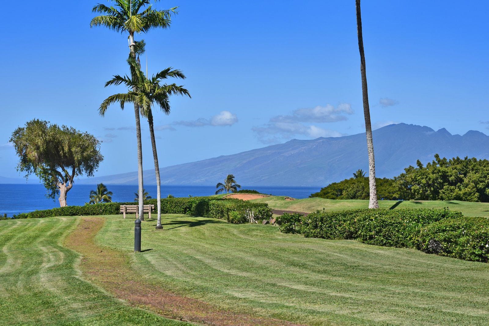 Vintage at Kaanapali condo # 105, Lahaina, Hawaii - photo 11 of 27