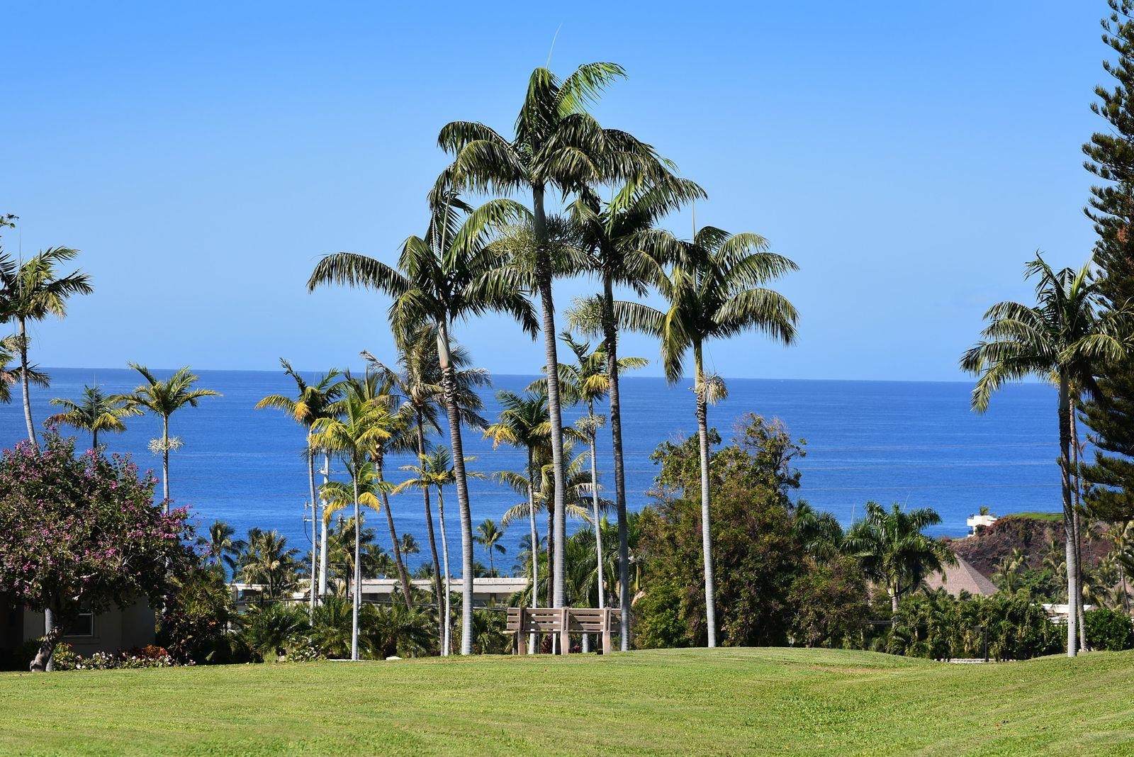 Vintage at Kaanapali condo # 105, Lahaina, Hawaii - photo 10 of 27