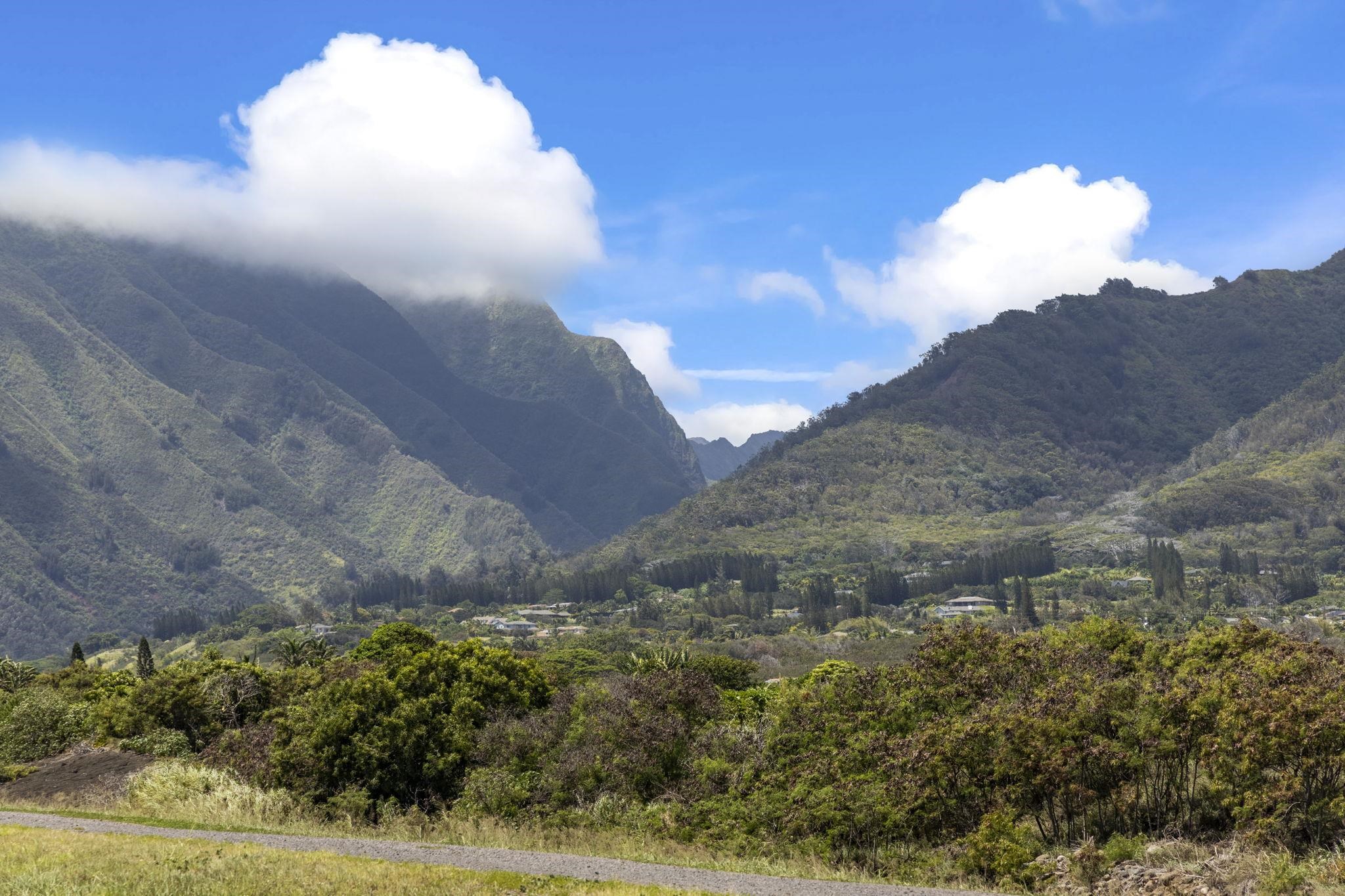 Iao Parkside II condo # 24-205, Wailuku, Hawaii - photo 43 of 47