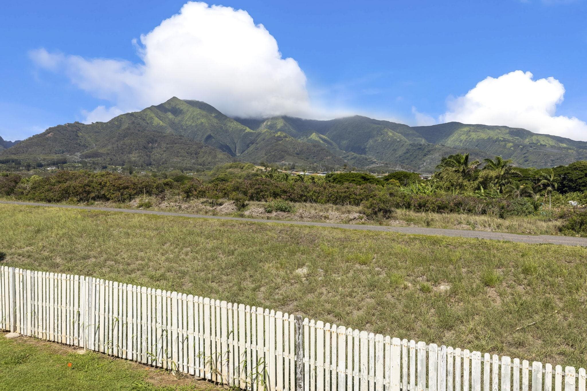 Iao Parkside II condo # 24-205, Wailuku, Hawaii - photo 45 of 47