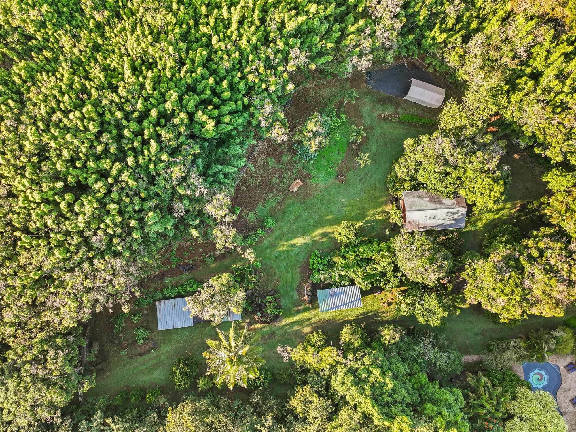 1055  Kaupakalua Rd , Haiku home - photo 18 of 46
