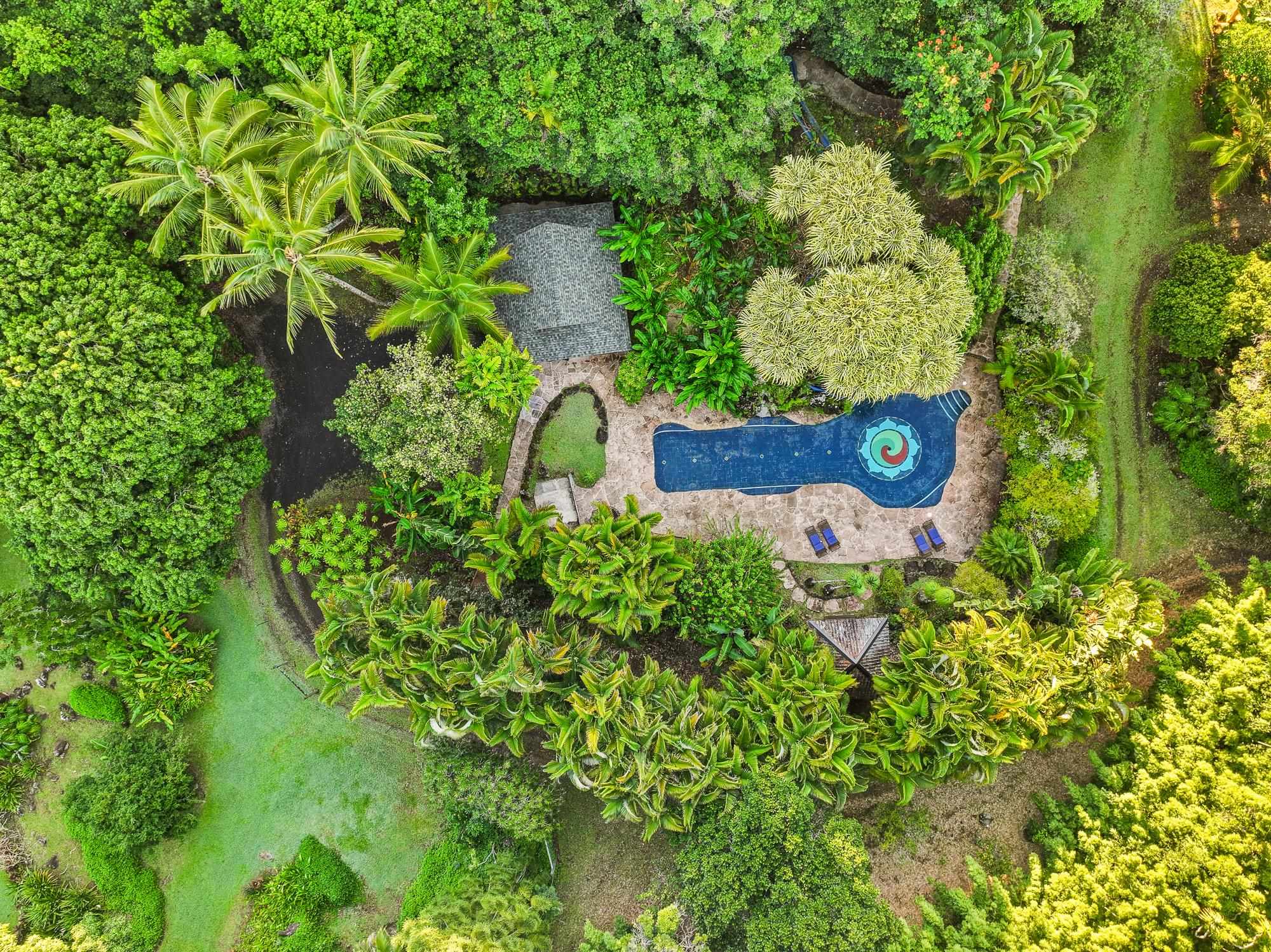 1055  Kaupakalua Rd , Haiku home - photo 4 of 46