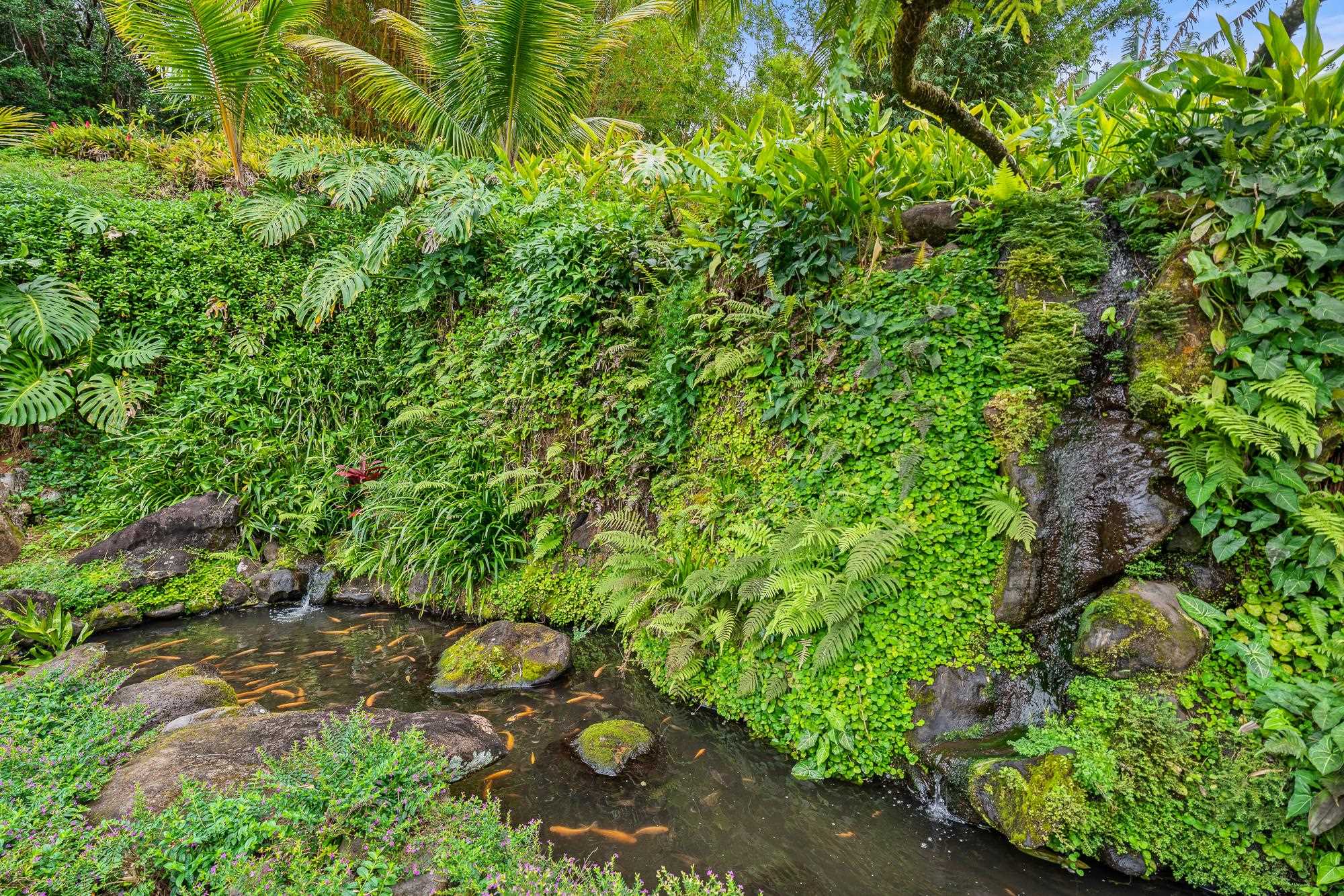 1055  Kaupakalua Rd , Haiku home - photo 38 of 46