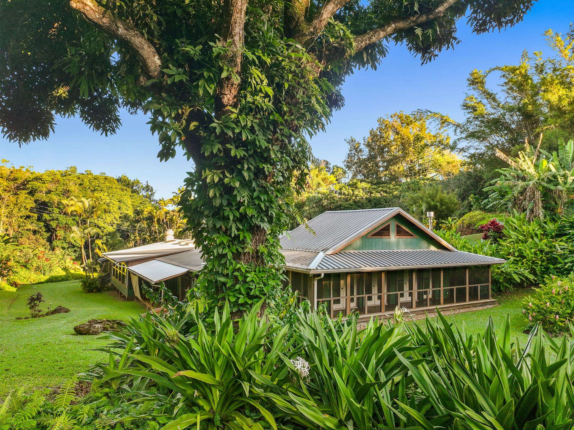 1055  Kaupakalua Rd , Haiku home - photo 9 of 46