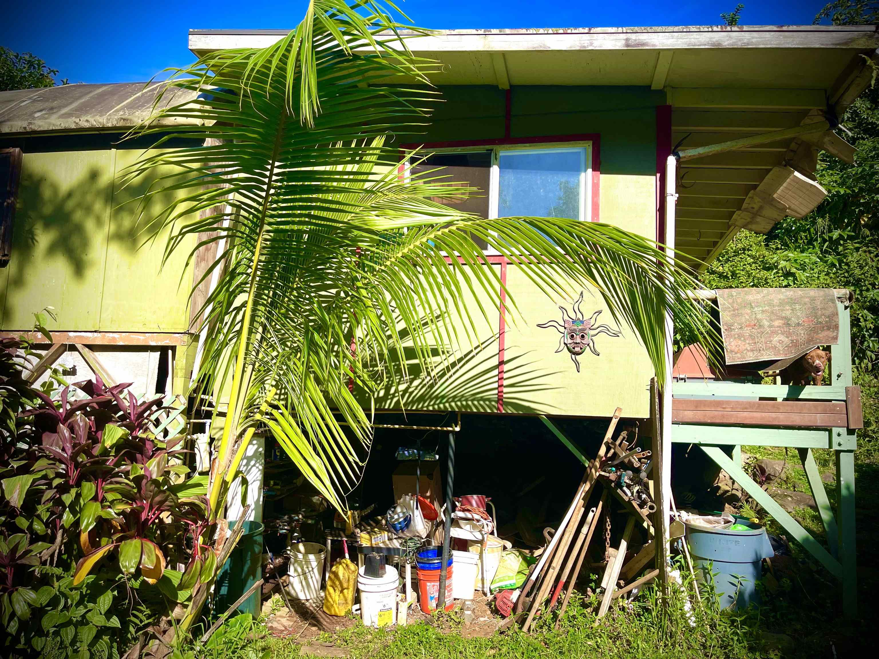 106  Hikiau Rd , Haiku home - photo 10 of 50