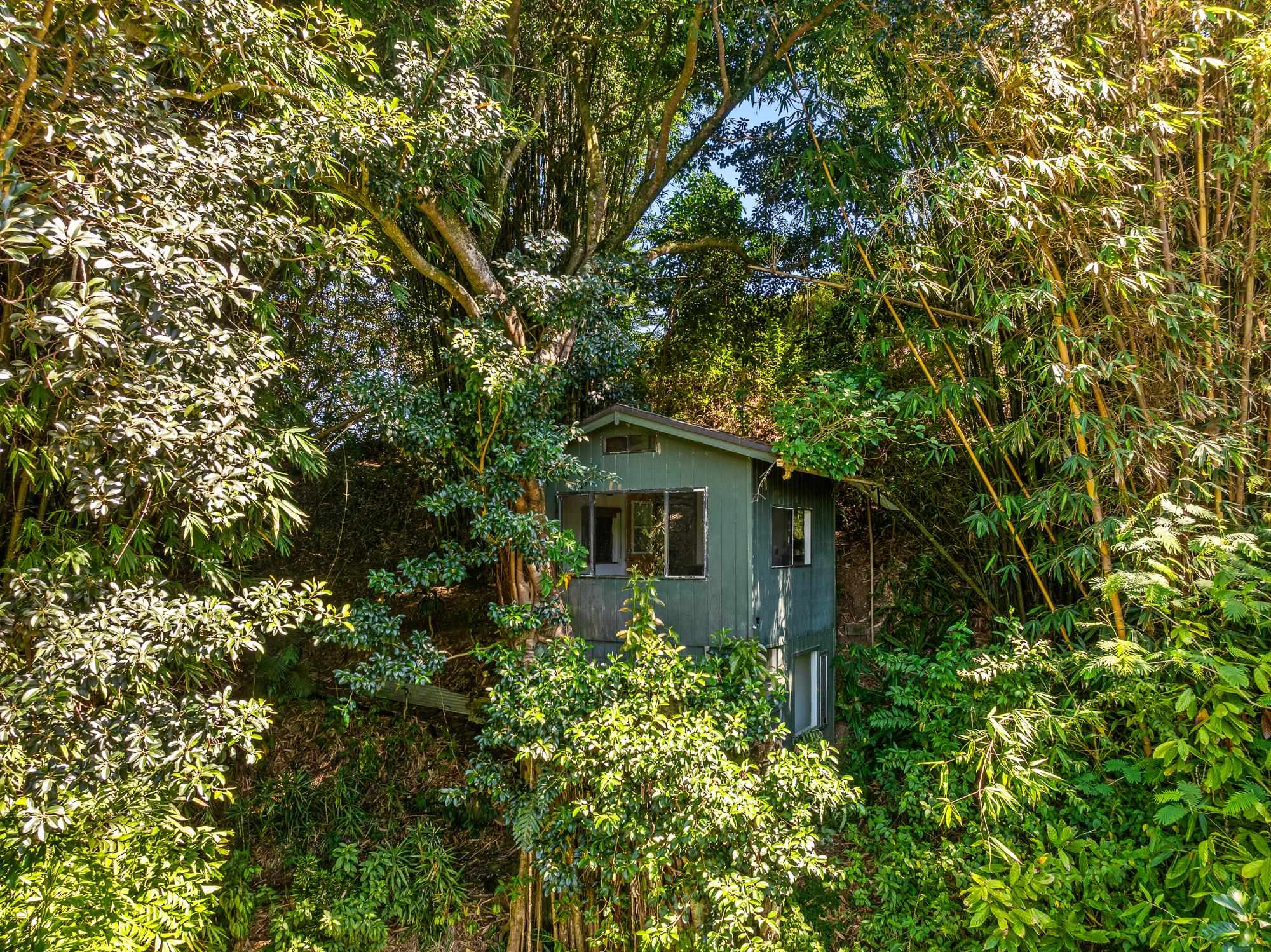 106  Hikiau Rd , Haiku home - photo 32 of 41
