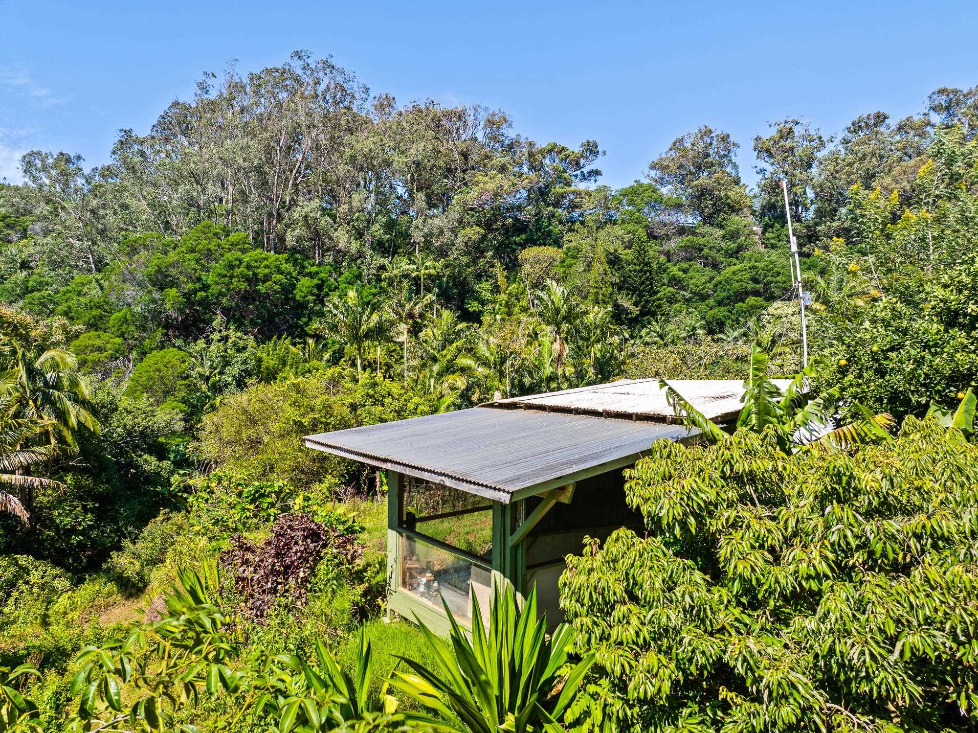 106  Hikiau Rd , Haiku home - photo 35 of 41