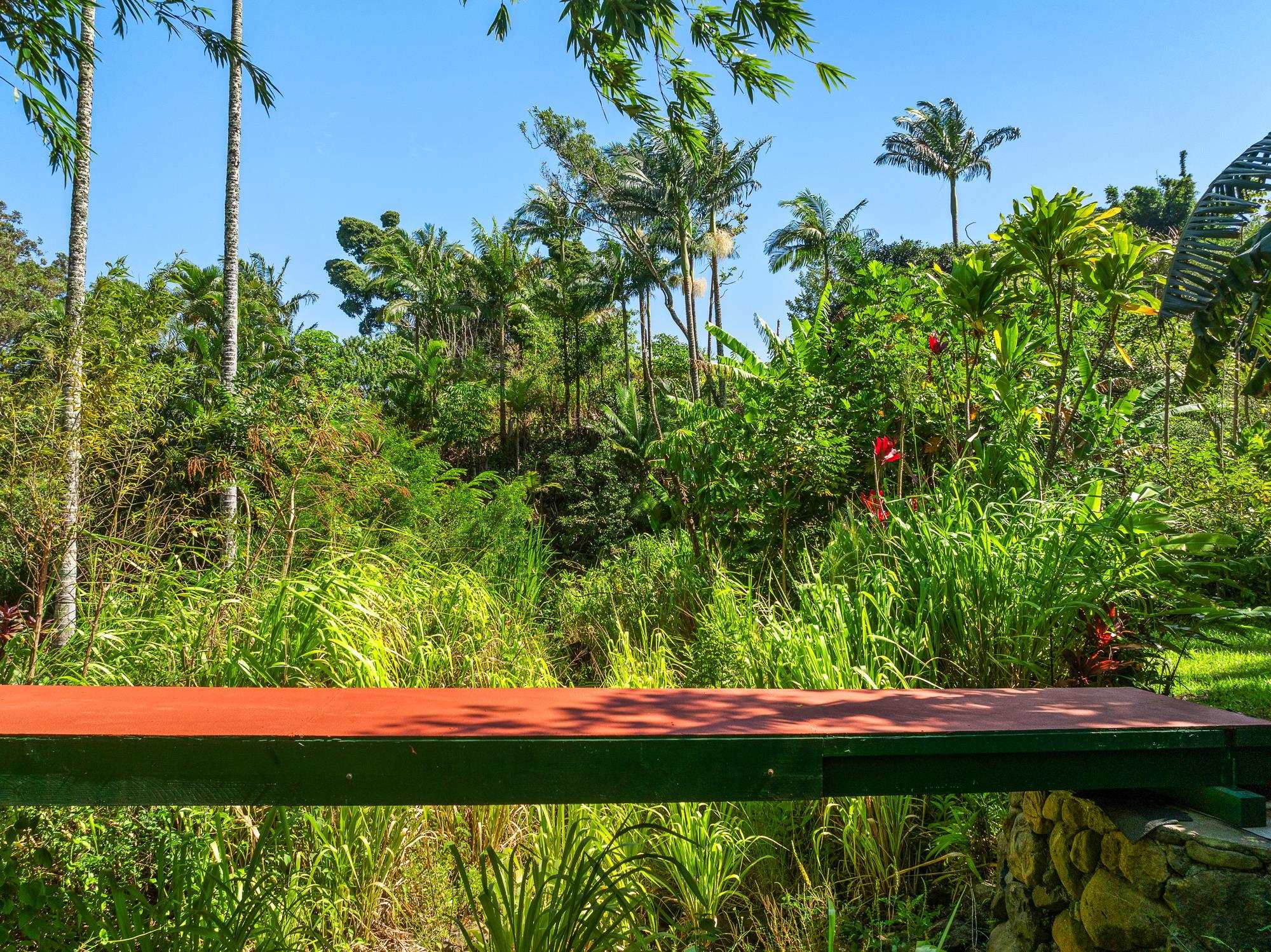 106  Hikiau Rd , Haiku home - photo 37 of 41