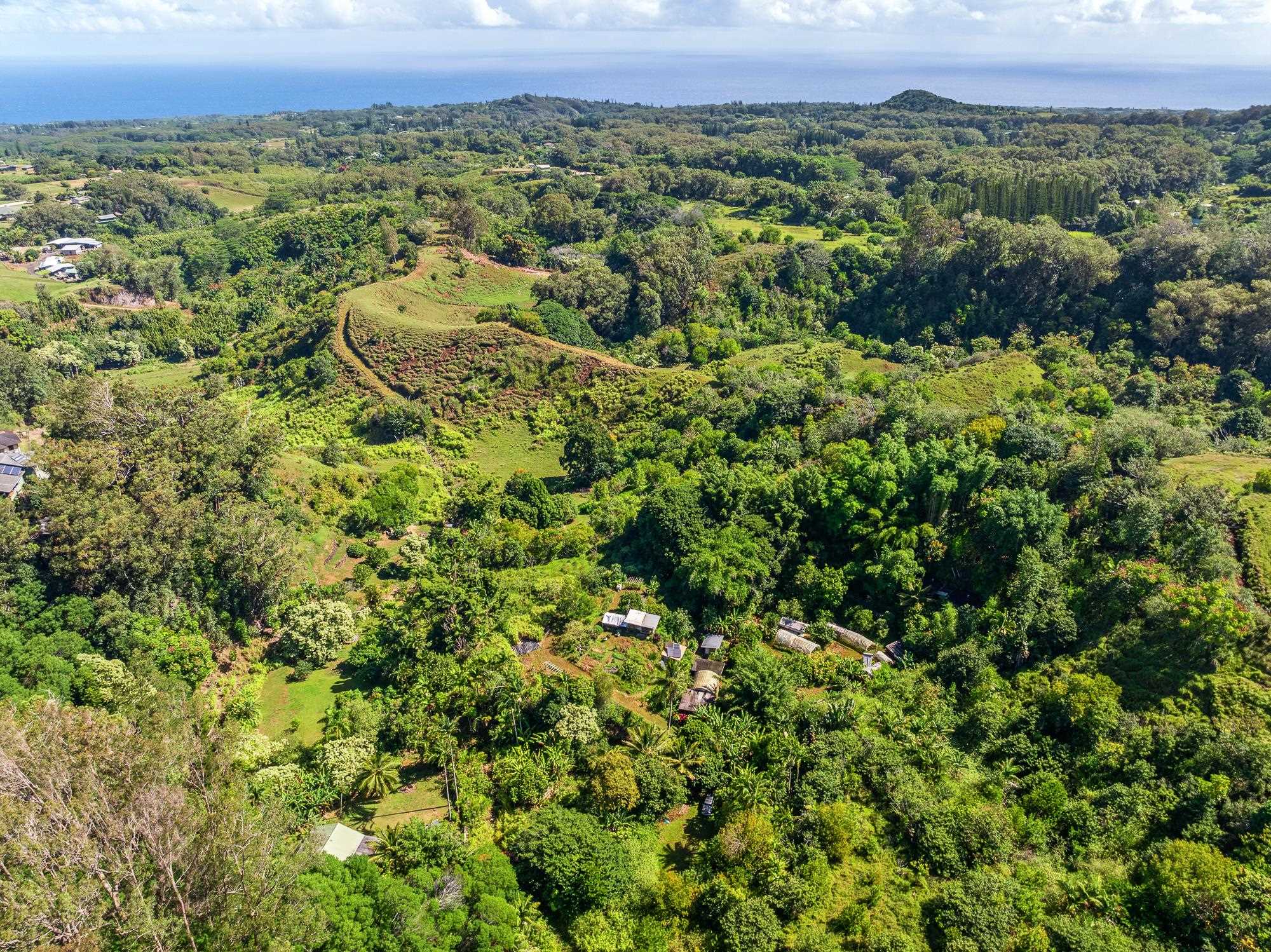 106  Hikiau Rd , Haiku home - photo 39 of 41