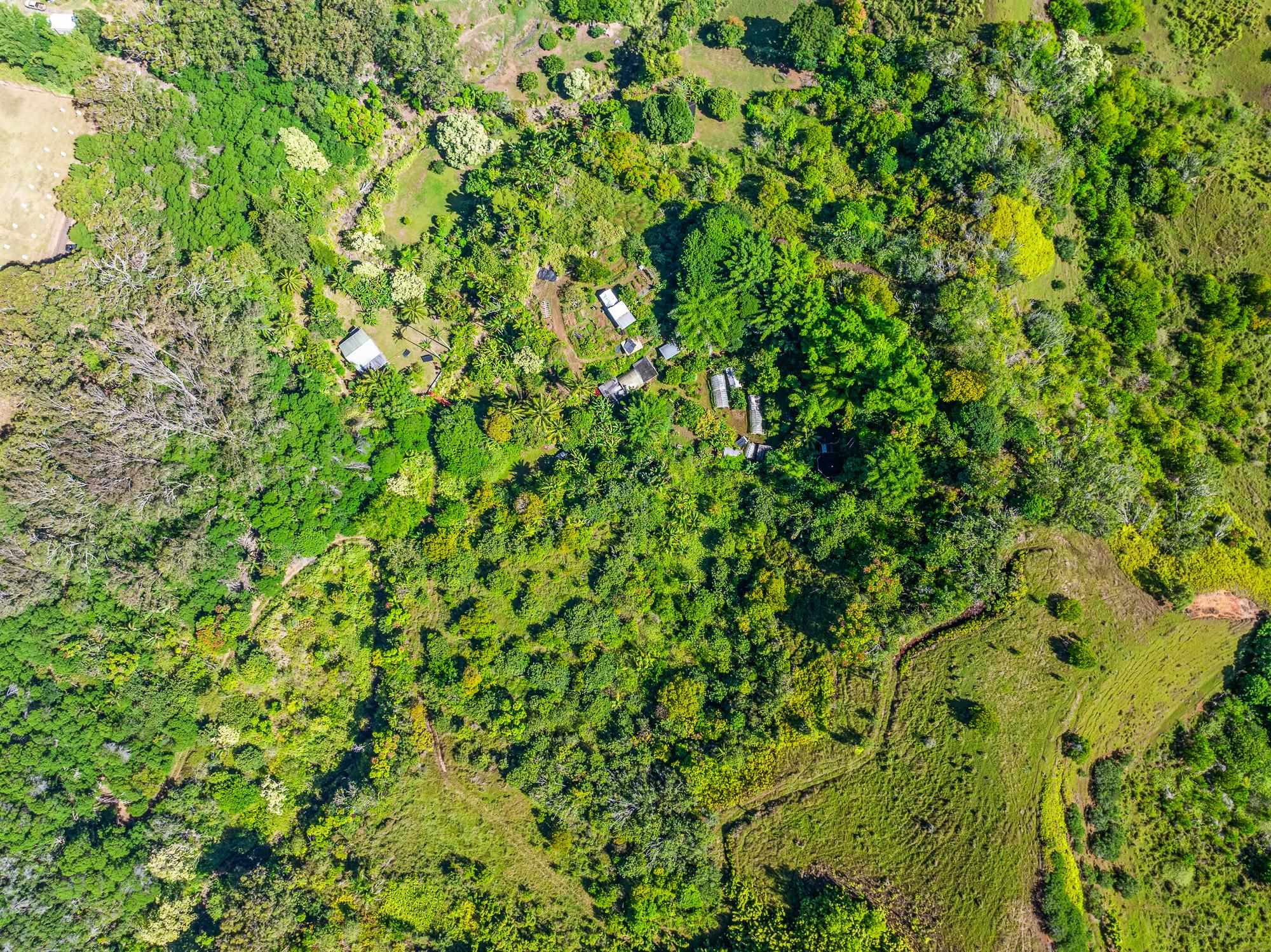 106  Hikiau Rd , Haiku home - photo 40 of 41