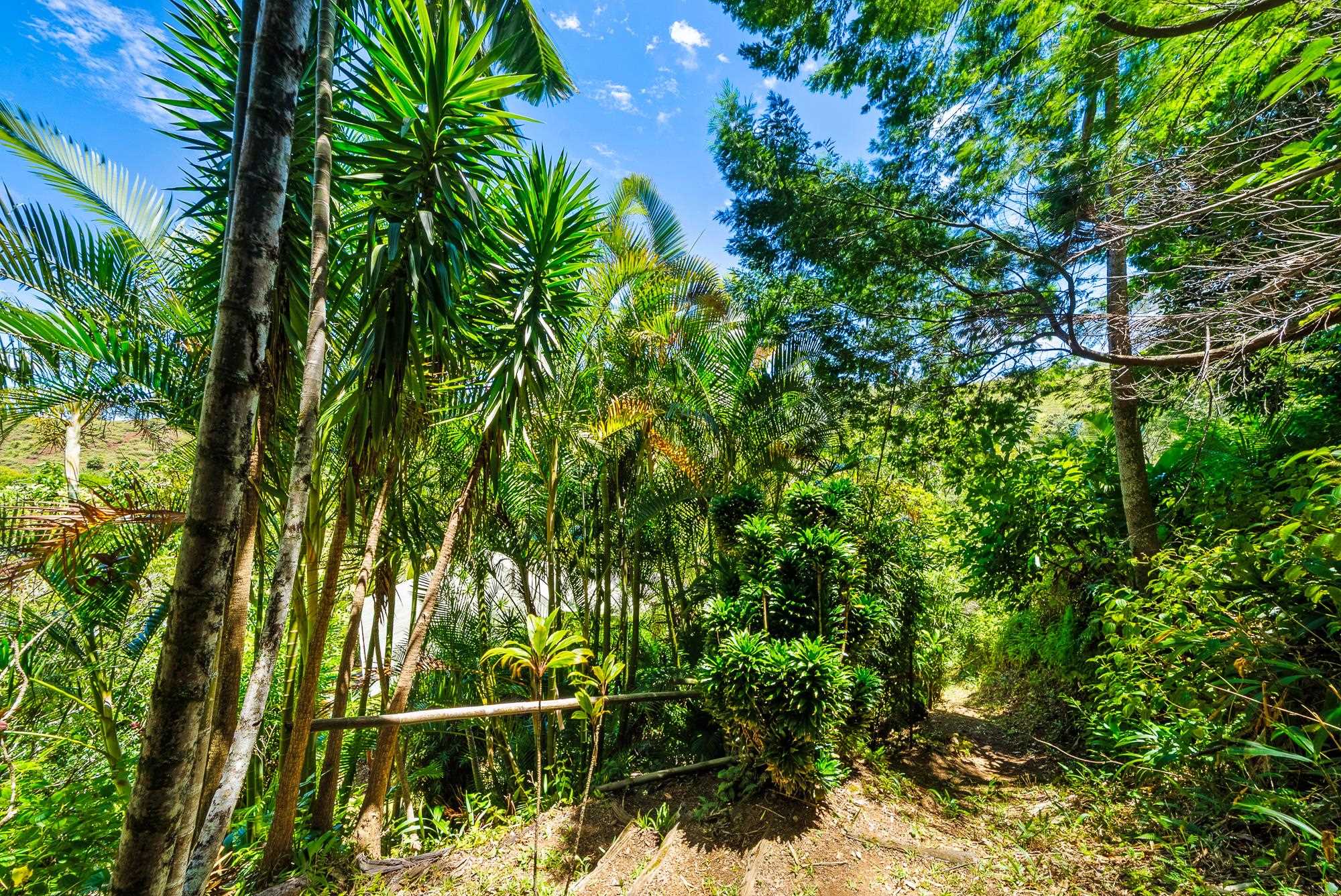 106  Hikiau Rd , Haiku home - photo 41 of 41