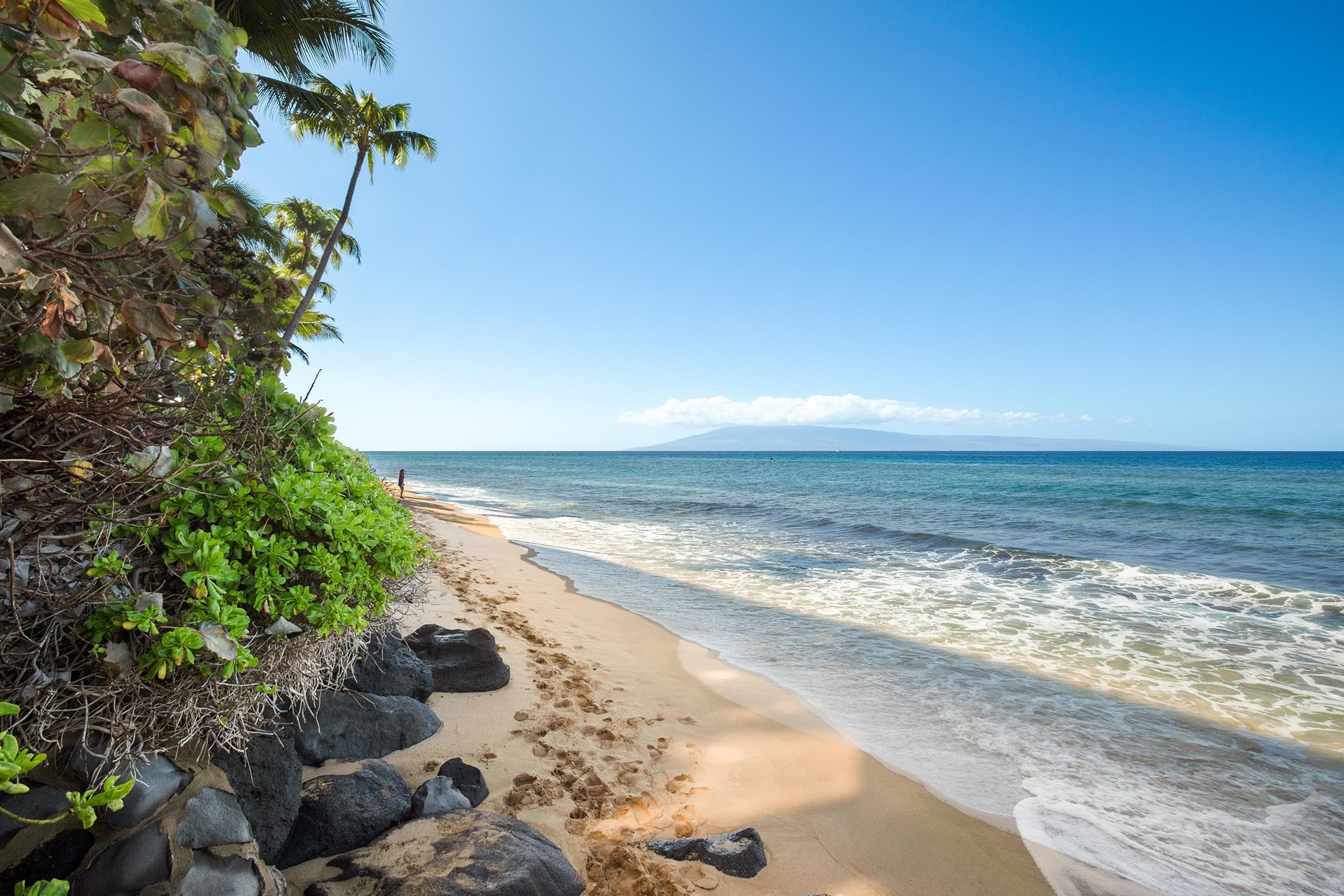 Maui Kai condo # 1002, Lahaina, Hawaii - photo 21 of 27