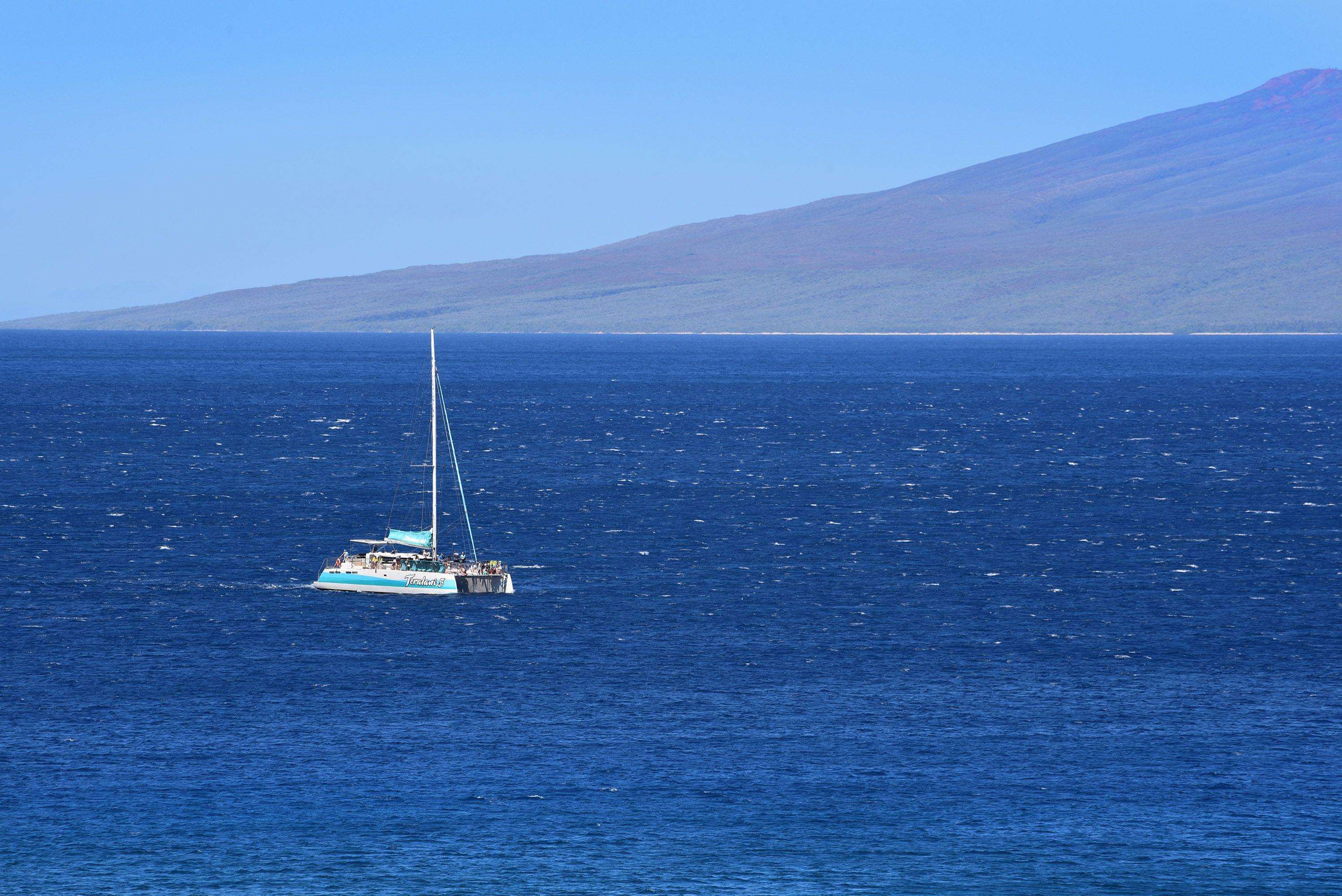 Maui Kai condo # 106, Lahaina, Hawaii - photo 29 of 43