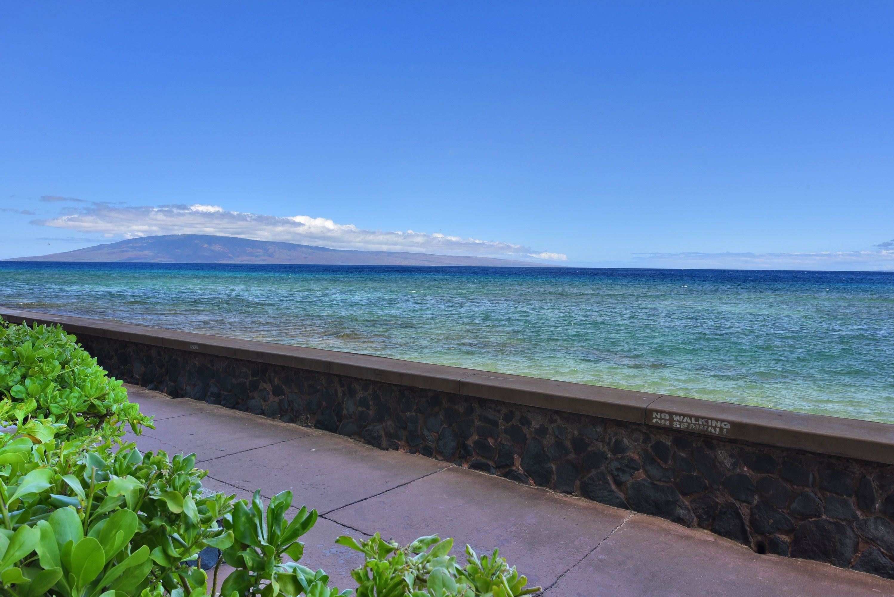 Maui Kai condo # 106, Lahaina, Hawaii - photo 34 of 43