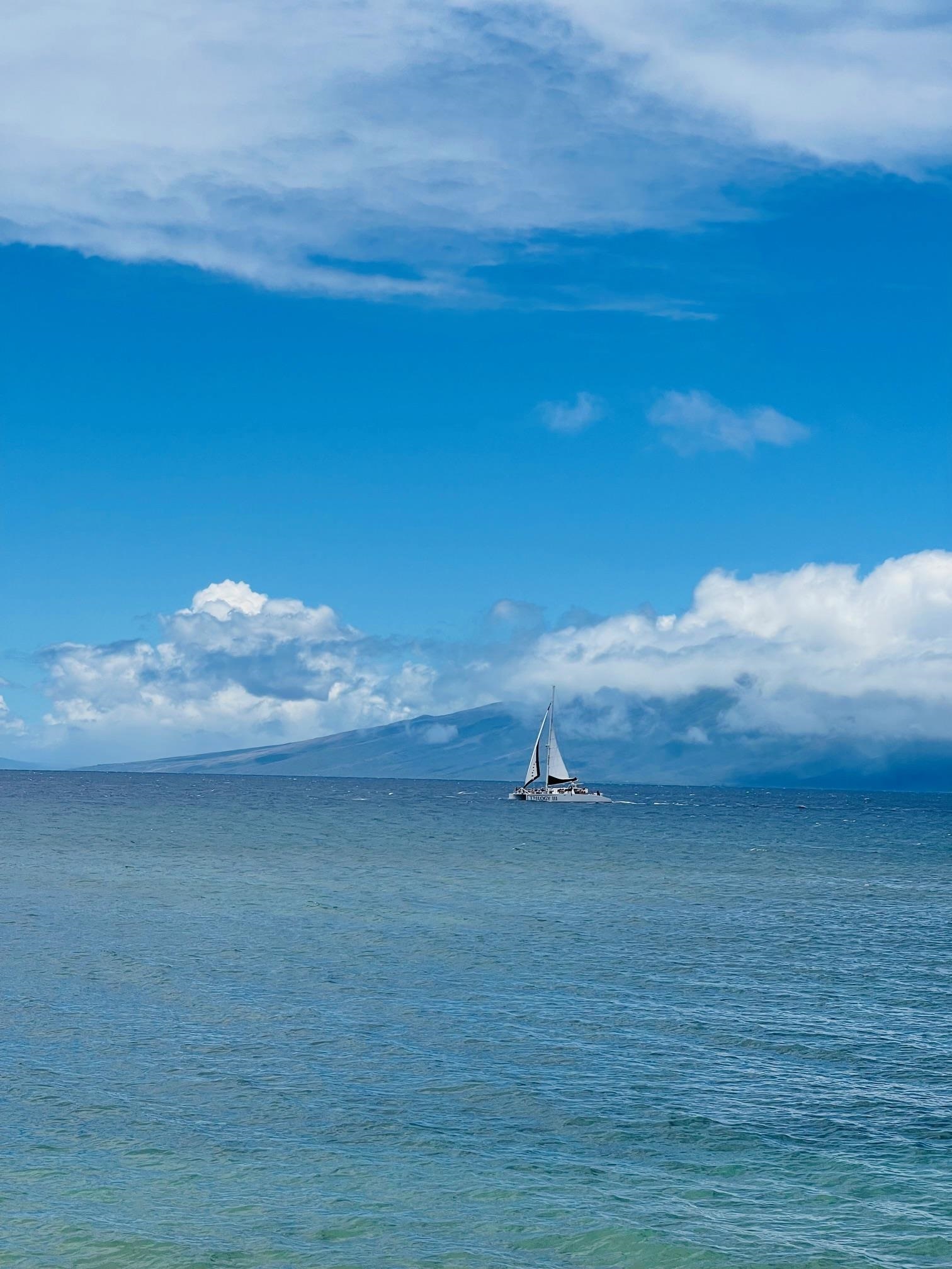 Maui Kai condo # 106, Lahaina, Hawaii - photo 42 of 43