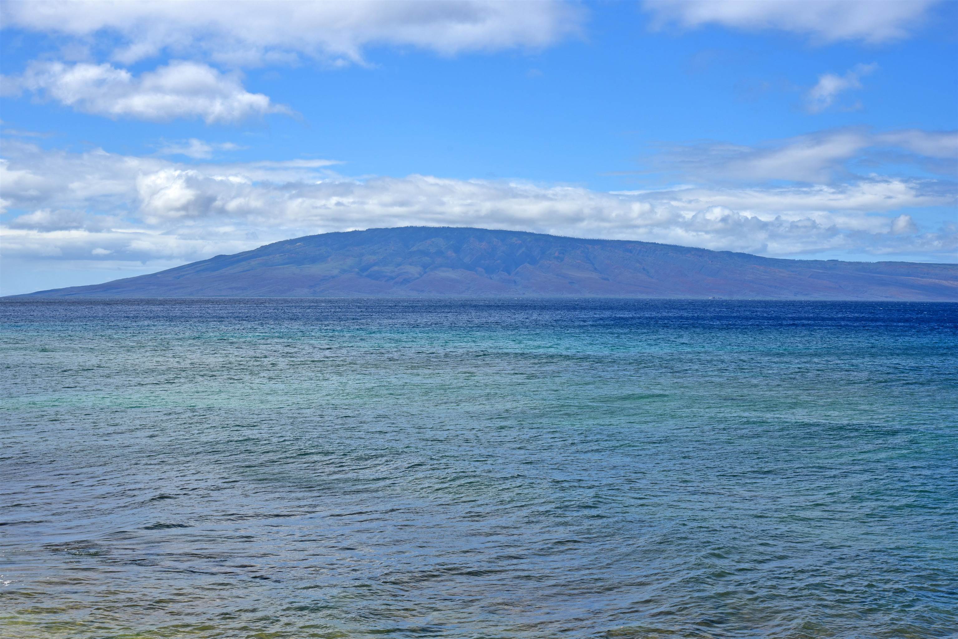 Maui Kai condo # 205, Lahaina, Hawaii - photo 23 of 46