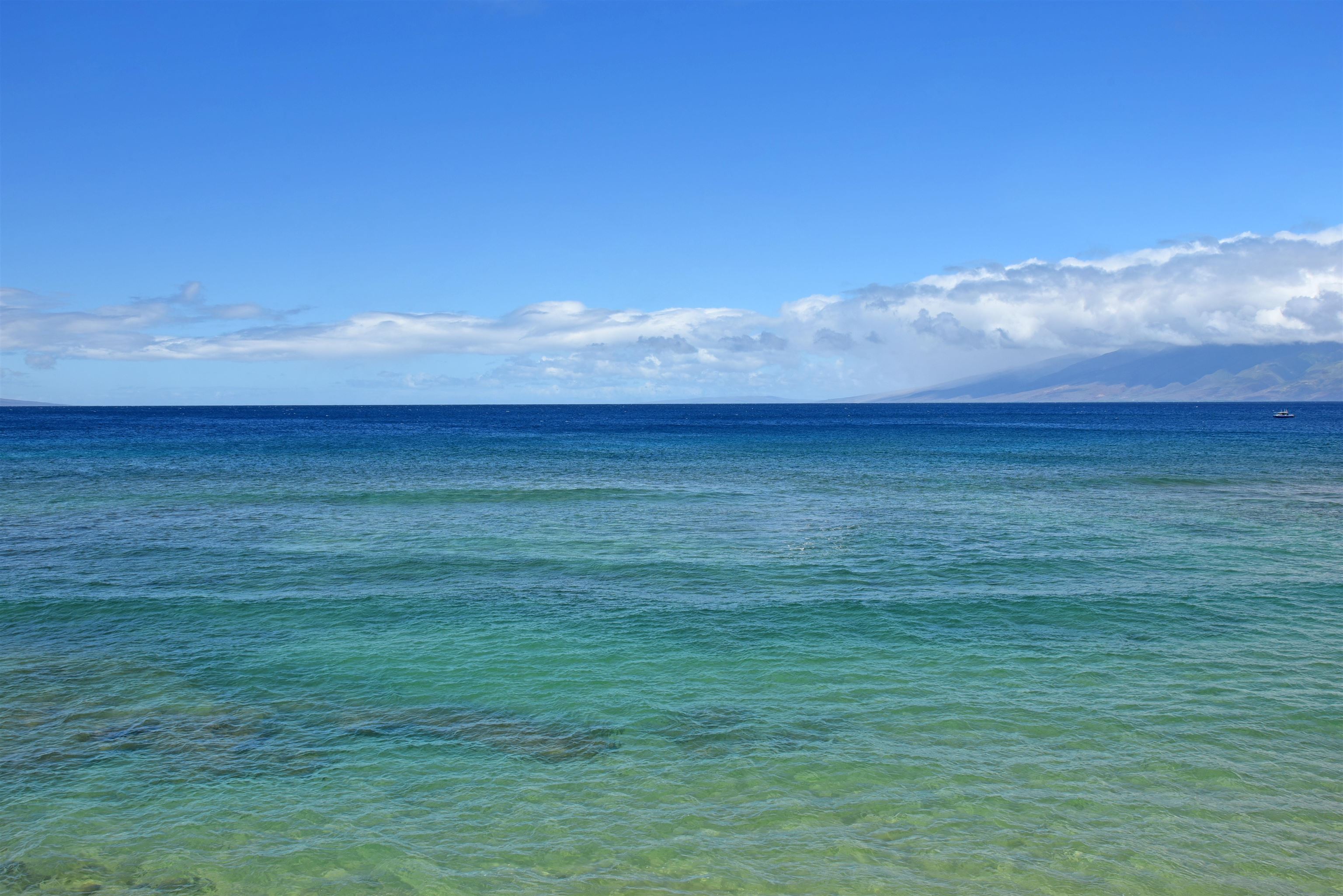 Maui Kai condo # 205, Lahaina, Hawaii - photo 24 of 46
