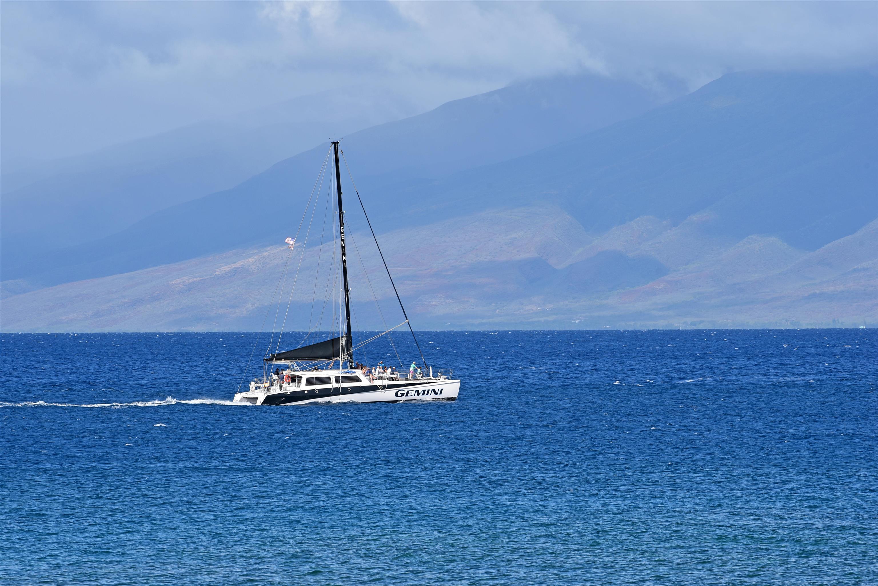 Maui Kai condo # 205, Lahaina, Hawaii - photo 25 of 46