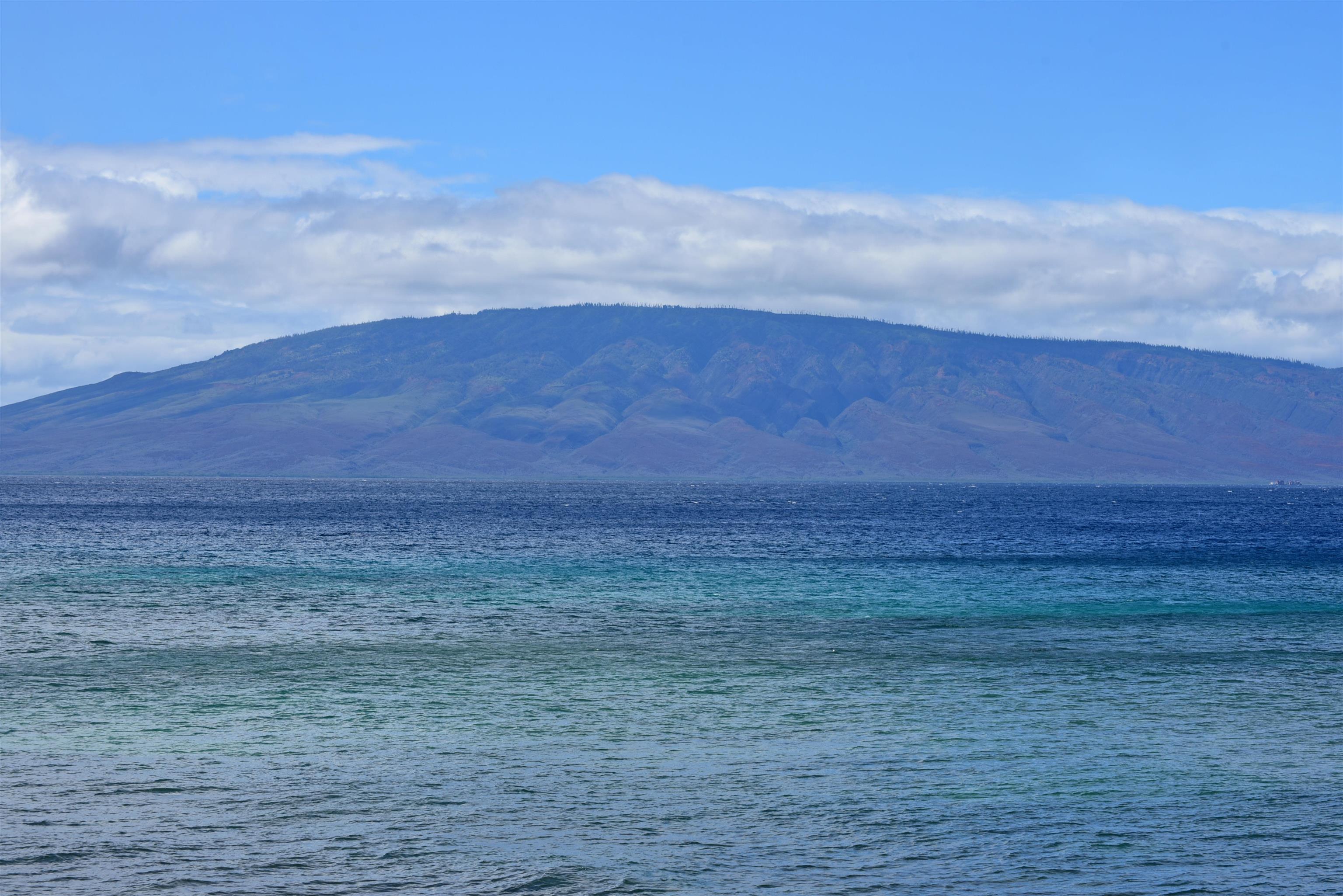 Maui Kai condo # 205, Lahaina, Hawaii - photo 28 of 46