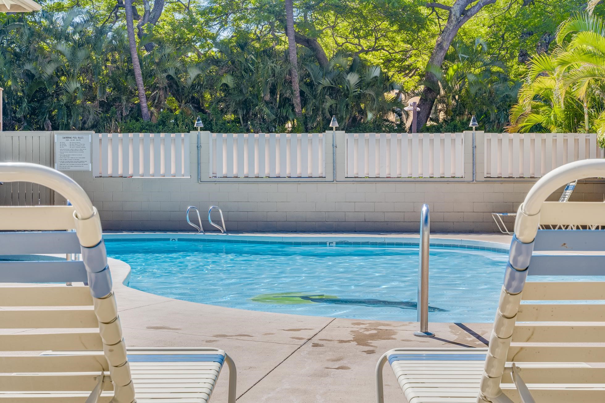 Maui Kai condo # 405, Lahaina, Hawaii - photo 43 of 48