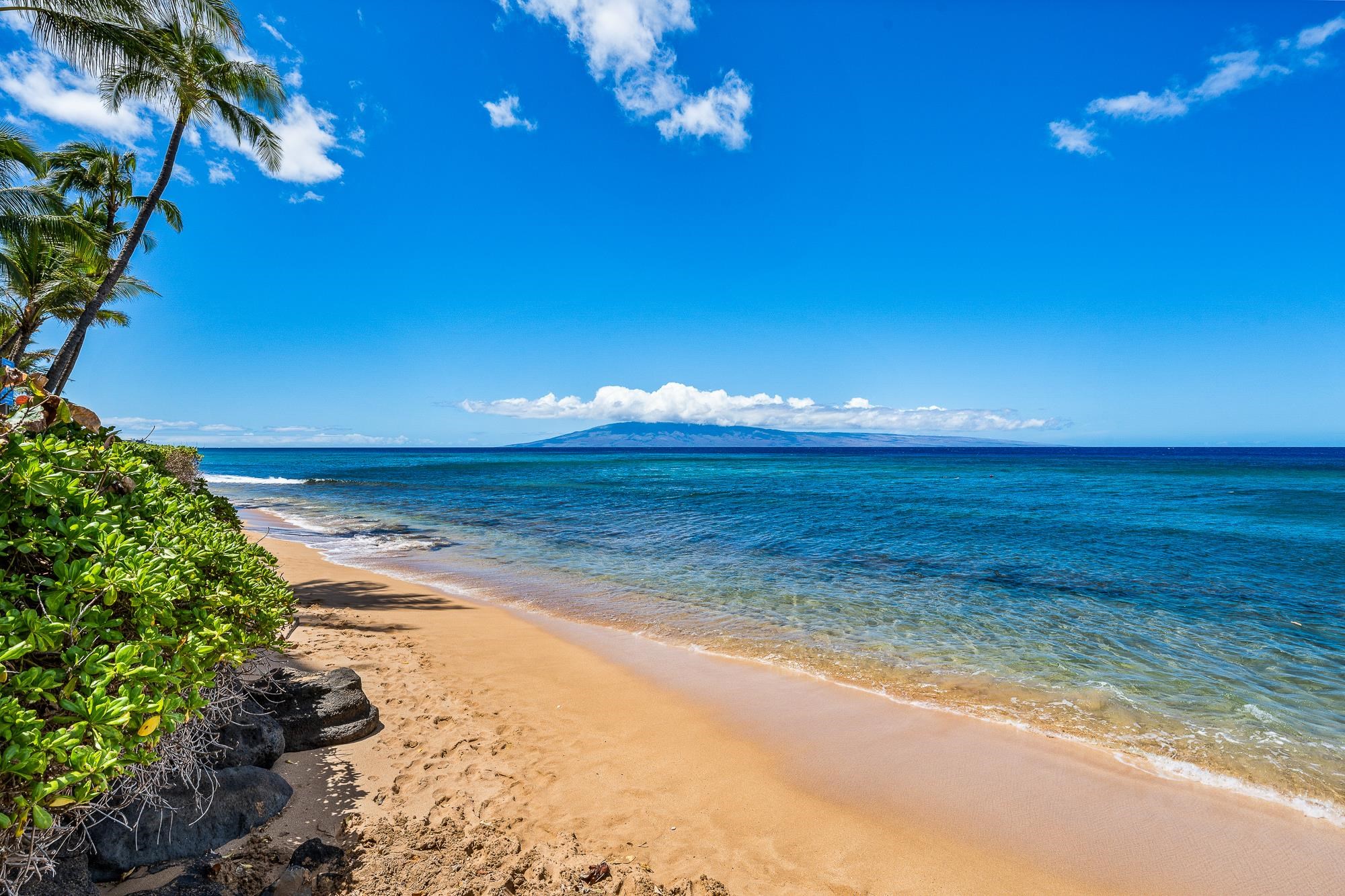 Maui Kai condo # 703, Lahaina, Hawaii - photo 28 of 33