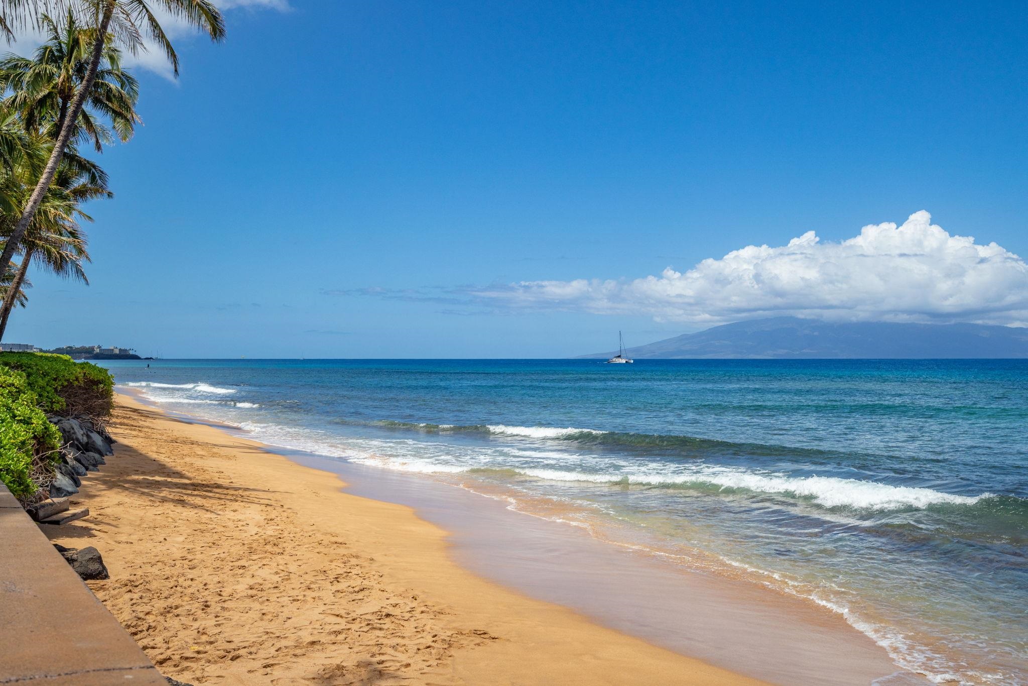 Maui Kai condo # 904, Lahaina, Hawaii - photo 36 of 50