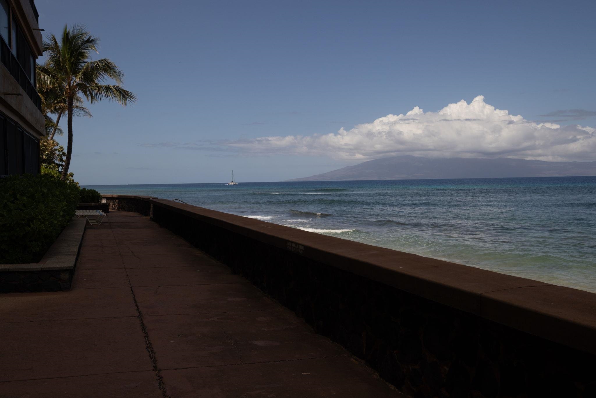 Maui Kai condo # 904, Lahaina, Hawaii - photo 5 of 50