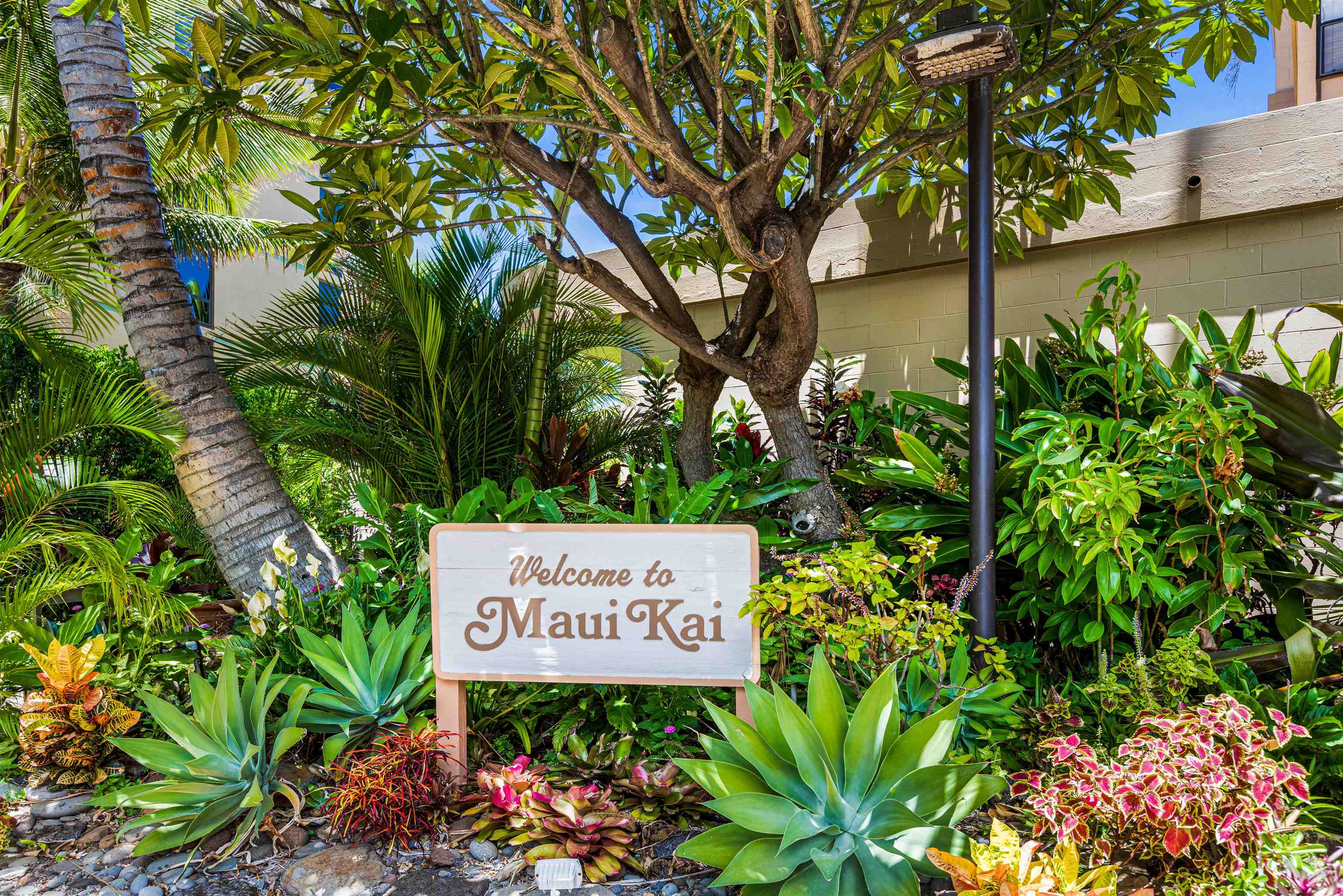 Maui Kai condo # 805, Lahaina, Hawaii - photo 34 of 40