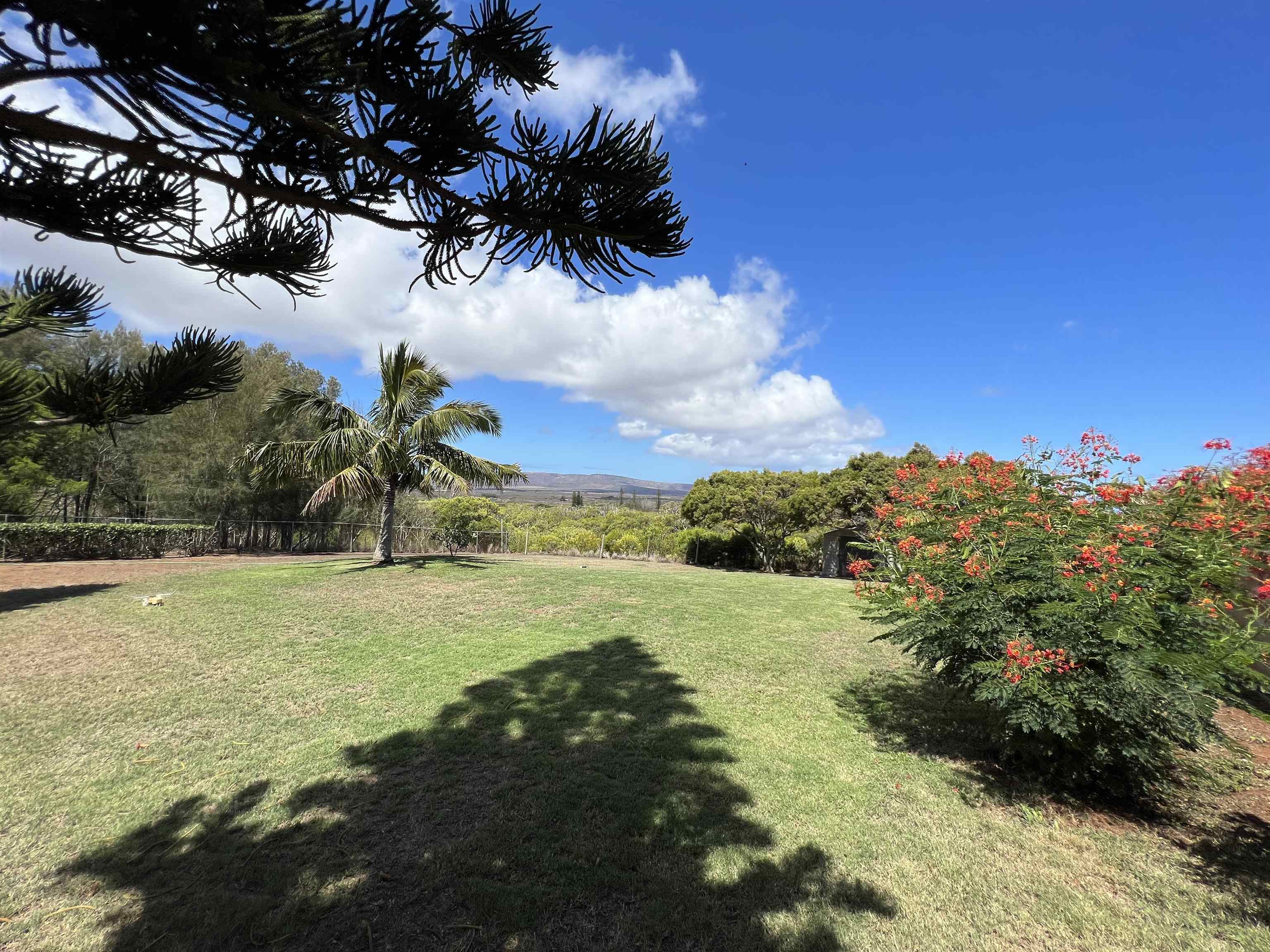 1060  Mamalu La'i Pl , Molokai home - photo 3 of 27