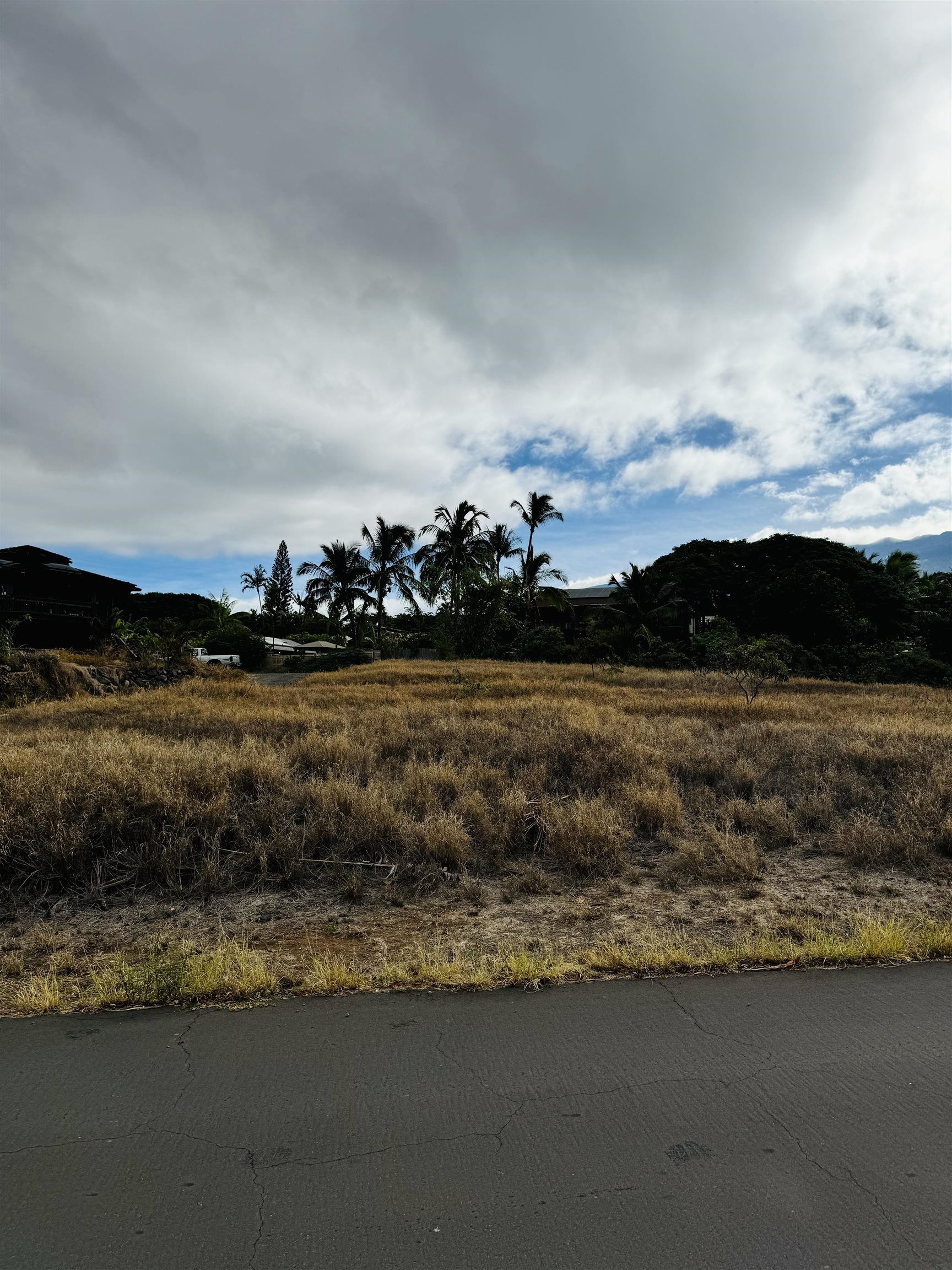 1063 Kupulau Dr  Kihei, Hi vacant land for sale - photo 2 of 18