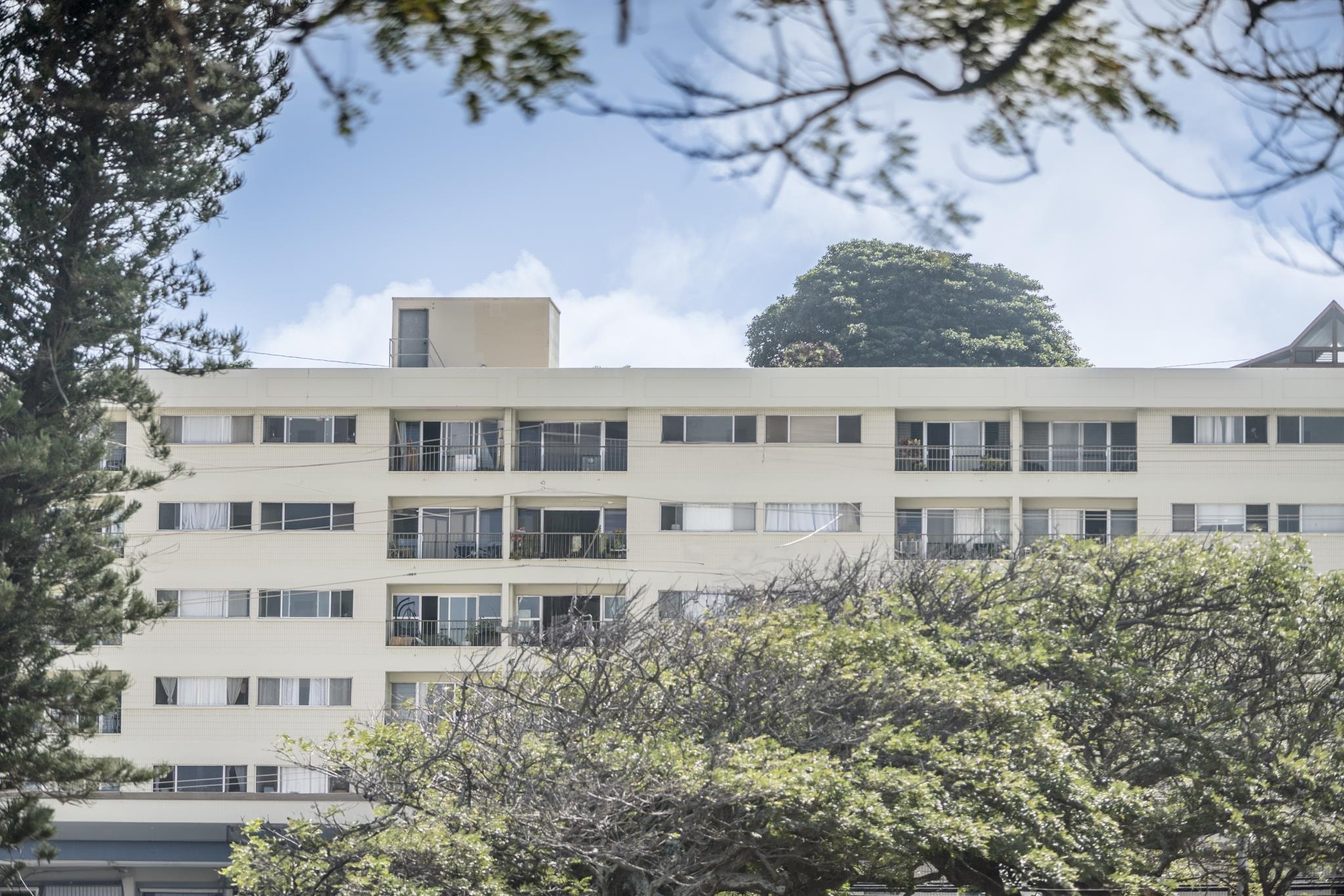 Puuone Towers and Plaza condo # 310, Wailuku, Hawaii - photo 46 of 46