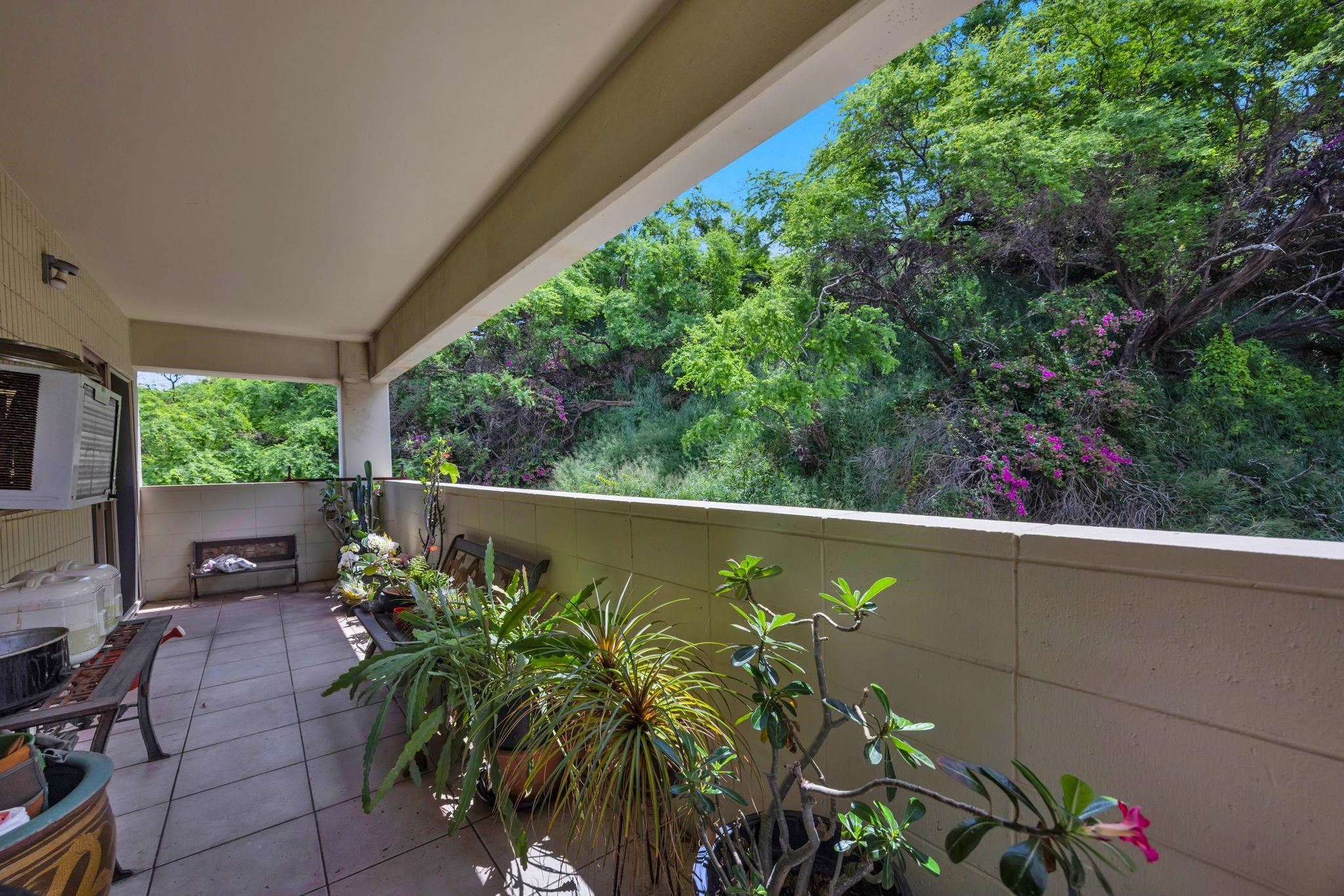 Puuone Towers and Plaza condo # 418, Wailuku, Hawaii - photo 48 of 50