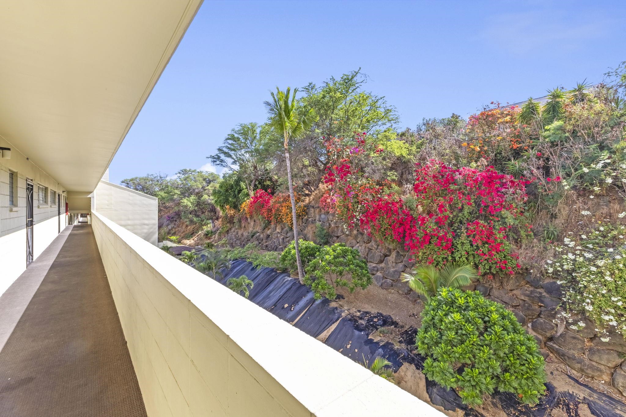 Puuone Towers and Plaza condo # 507, Wailuku, Hawaii - photo 29 of 46