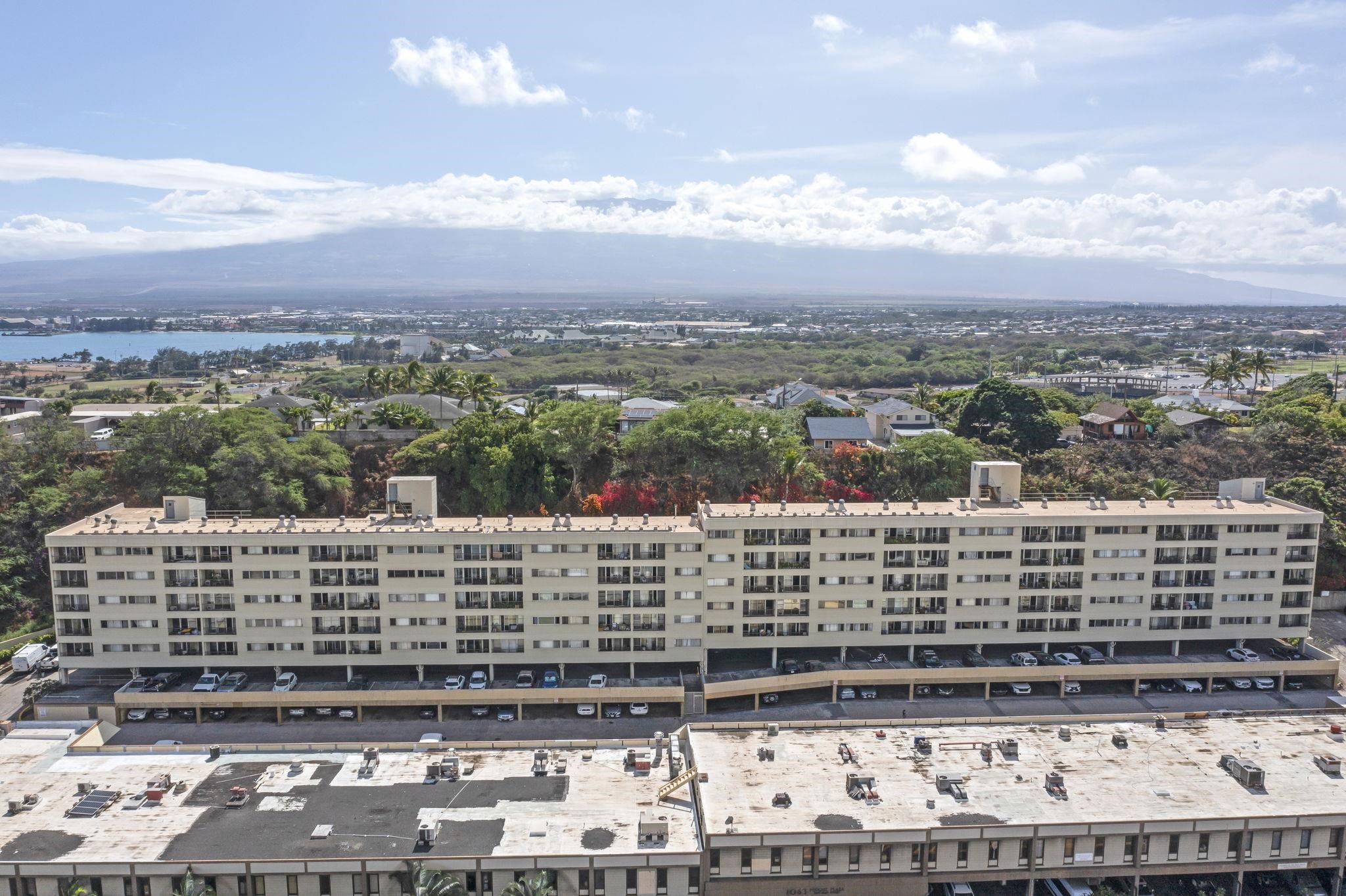 Puuone Towers and Plaza condo # 507, Wailuku, Hawaii - photo 43 of 46