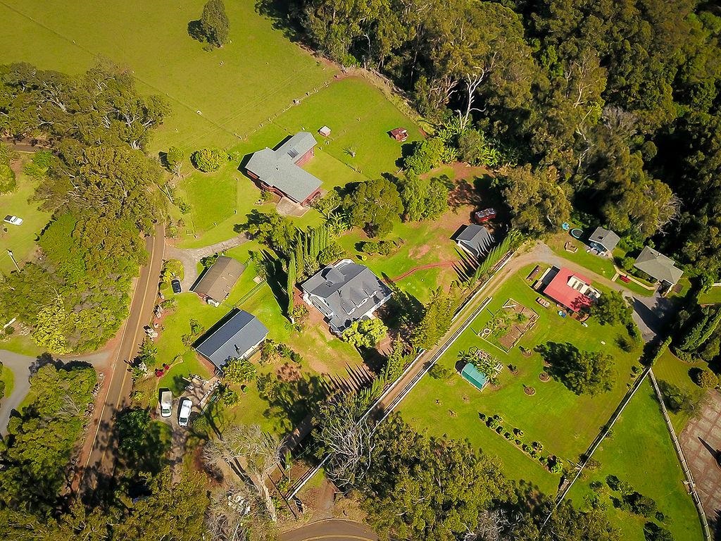 1065  Piiholo Rd Olinda/makawao, Makawao/Olinda/Haliimaile home - photo 19 of 30