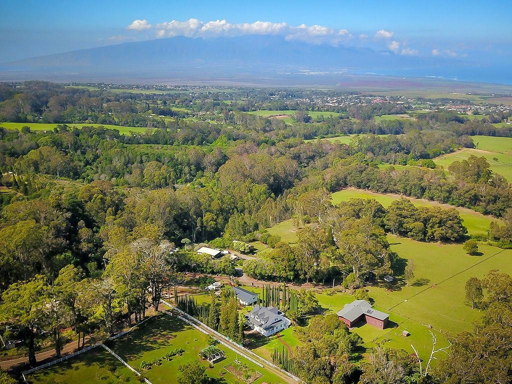 1065  Piiholo Rd Olinda/makawao, Makawao/Olinda/Haliimaile home - photo 3 of 30
