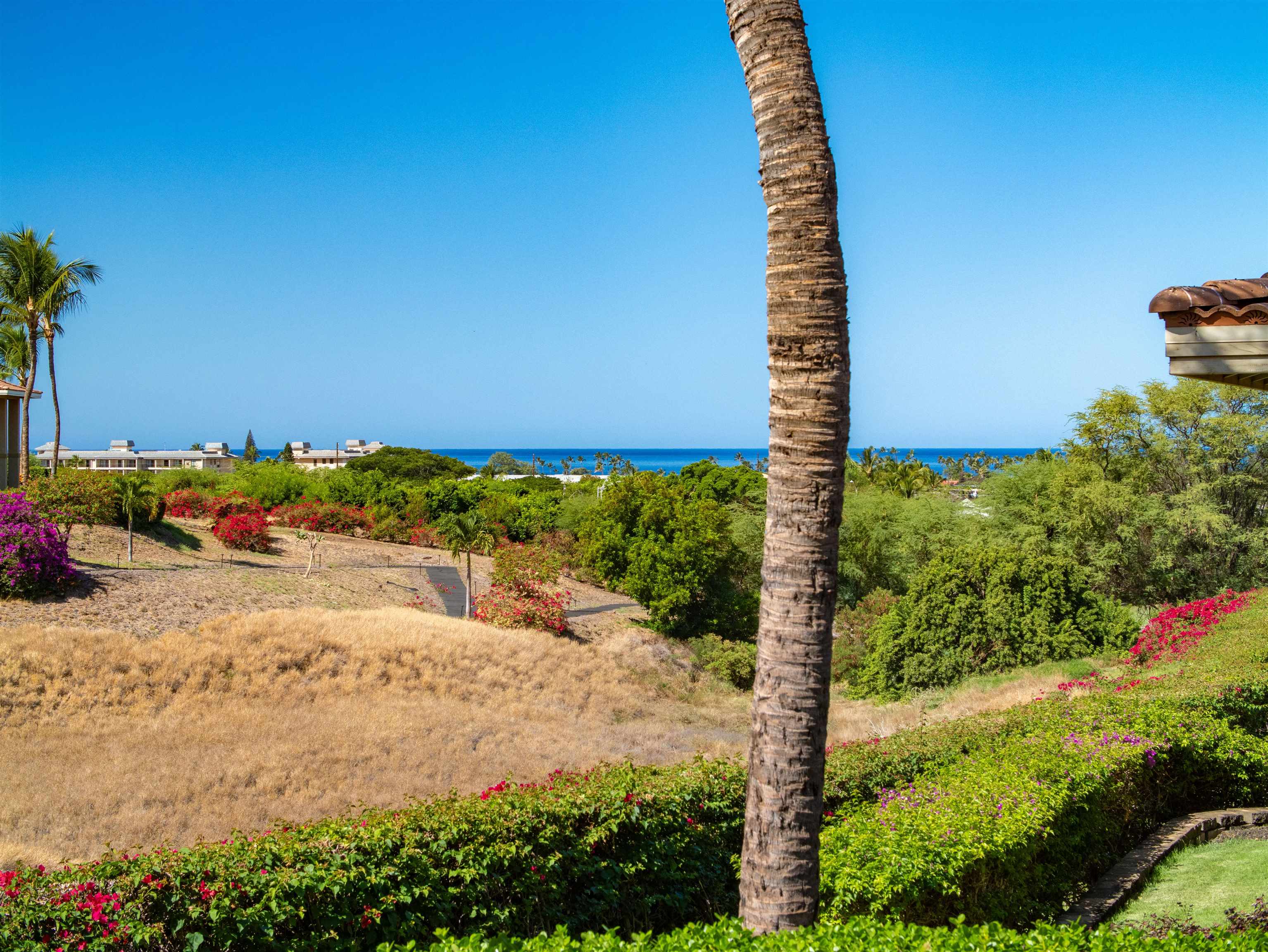 Hokulani Golf Villas condo # 106, Kihei, Hawaii - photo 14 of 36