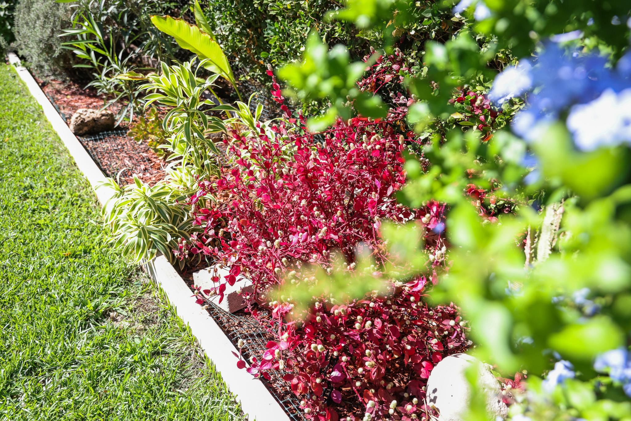 107  Mehani Pl Kalama View, Kihei home - photo 44 of 50