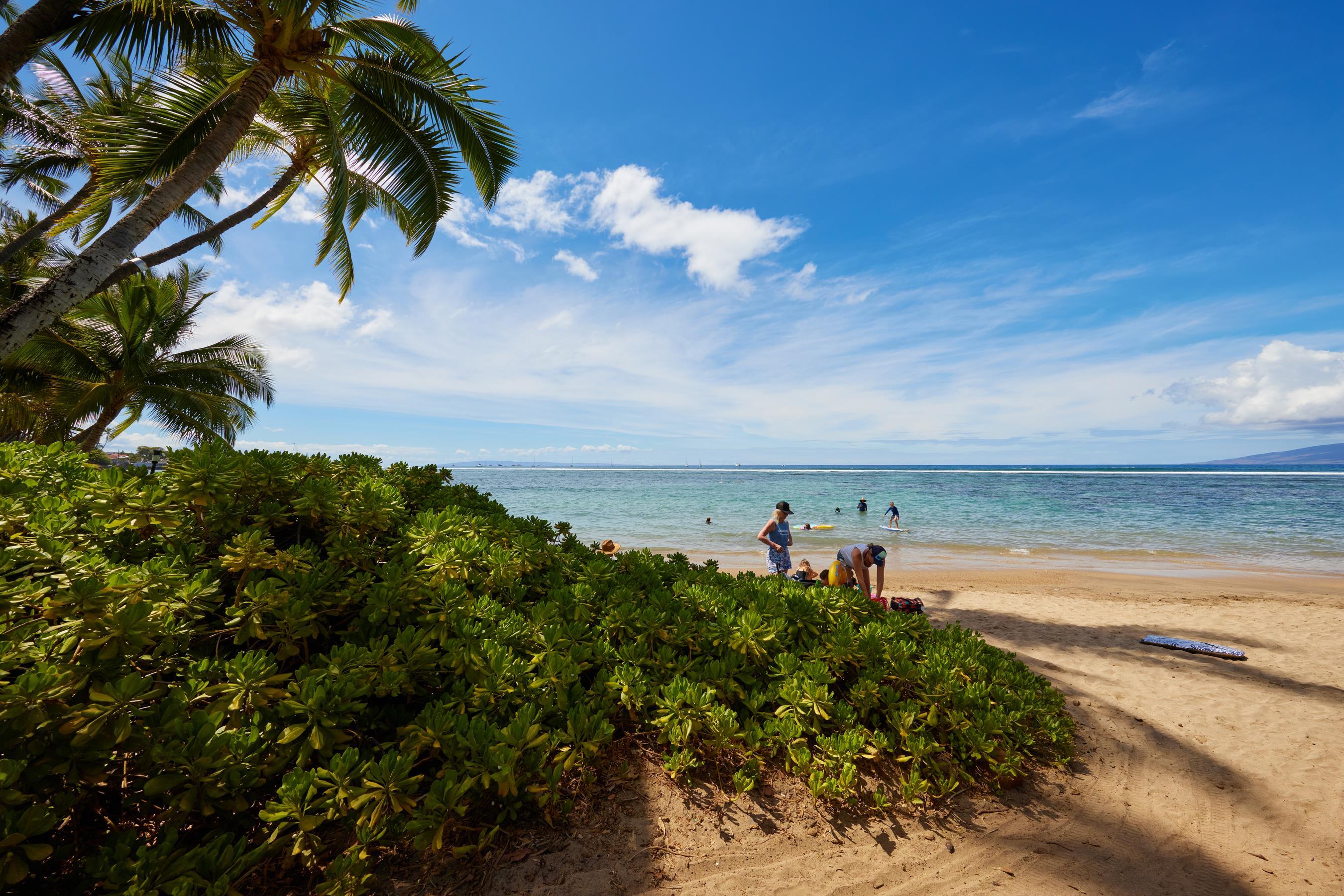 1073  Front St Lahaina, Lahaina home - photo 2 of 30
