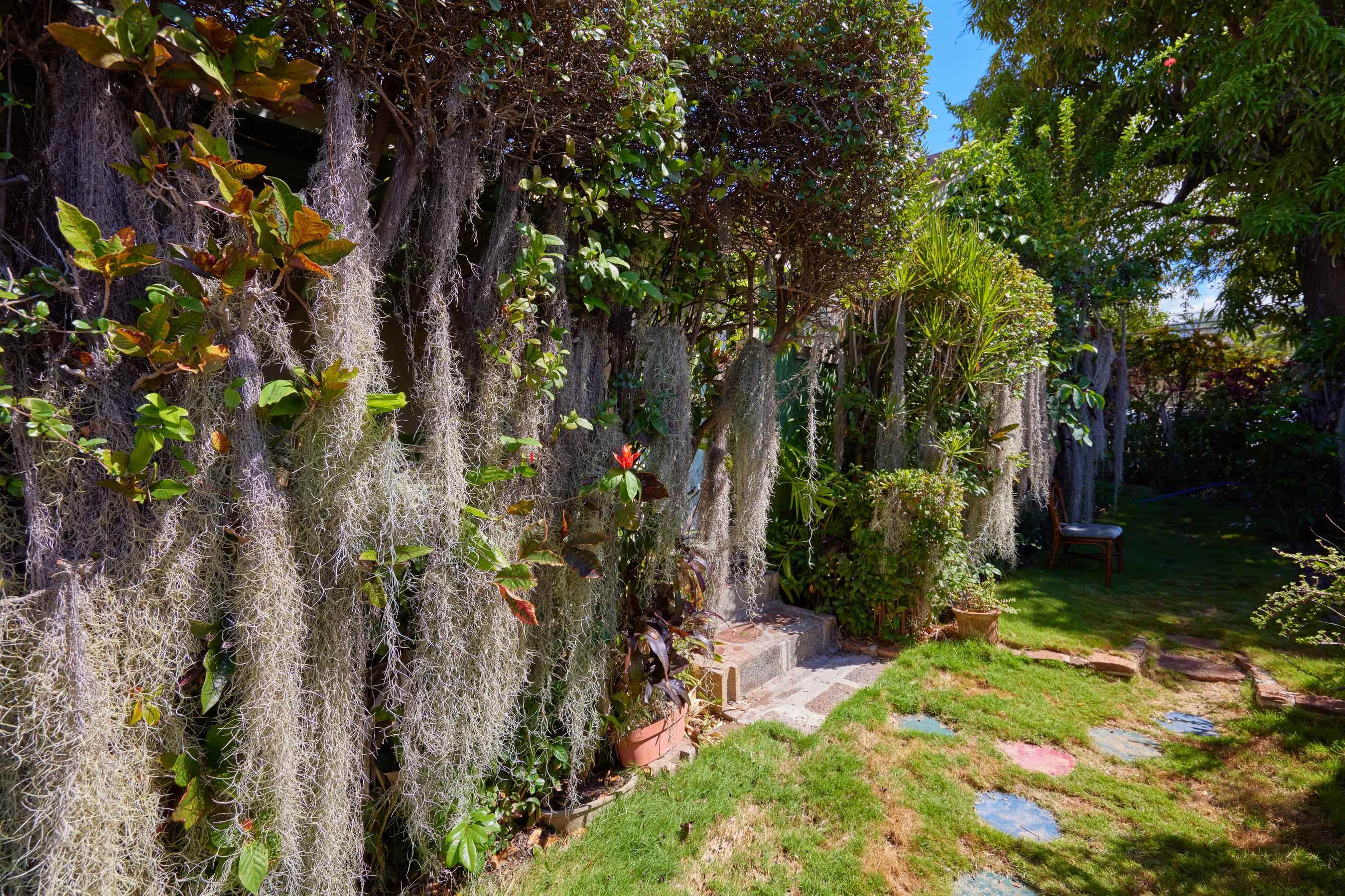 1073  Front St Lahaina, Lahaina home - photo 22 of 30