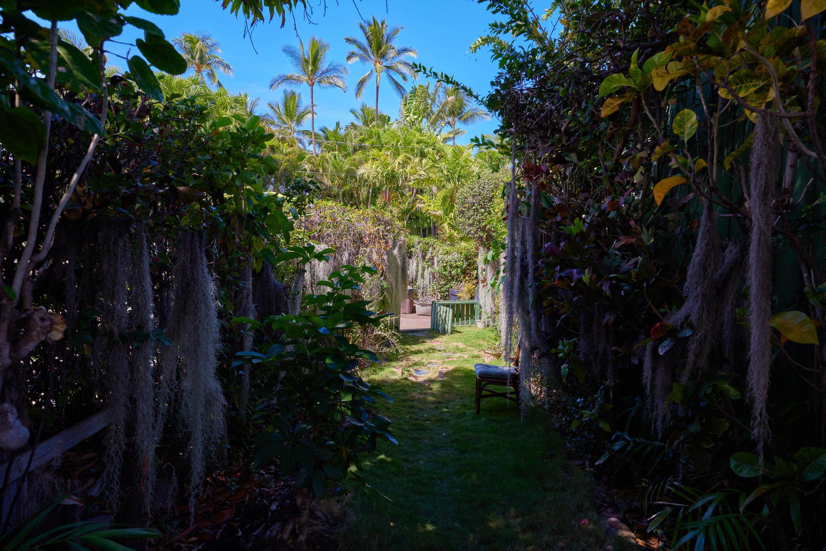 1073  Front St Lahaina, Lahaina home - photo 23 of 30